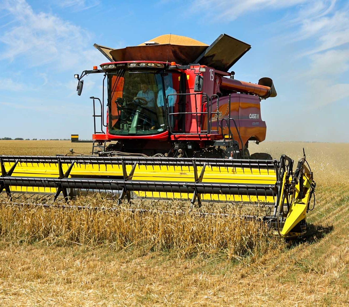 В&nbsp;Игринском районе Удмуртии урожай зерна вырос на&nbsp;22% с&nbsp;прошлого года