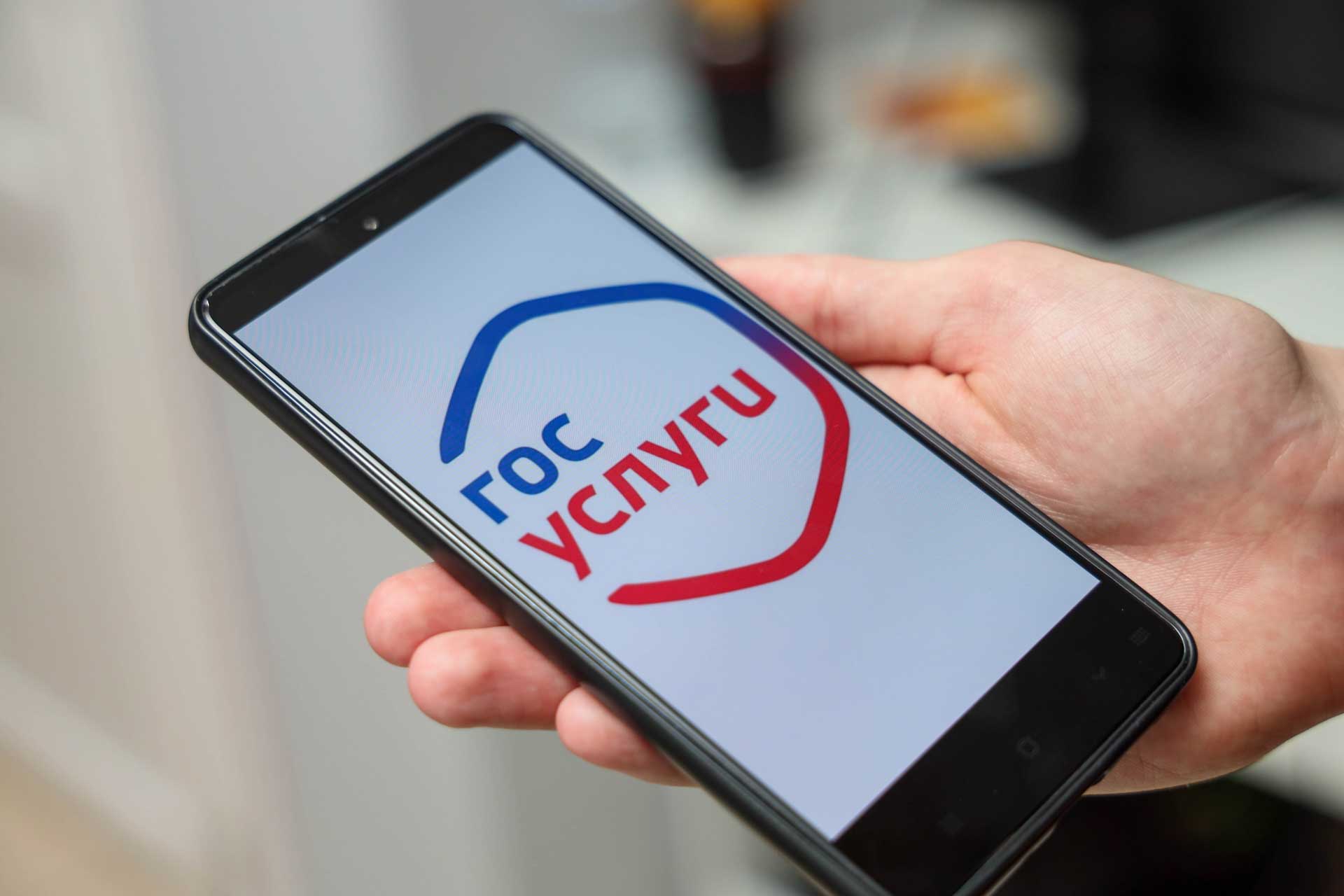 На&nbsp;&laquo;Госуслугах&raquo; будет создана отдельная страница Ставрополья