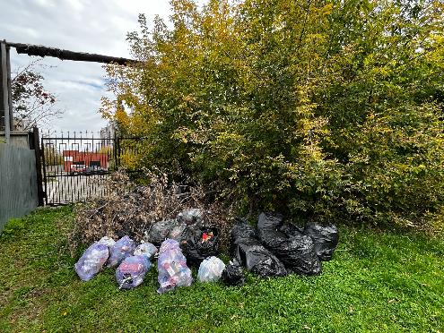 В&nbsp;Барнауле ликвидировали несанкционированную свалку