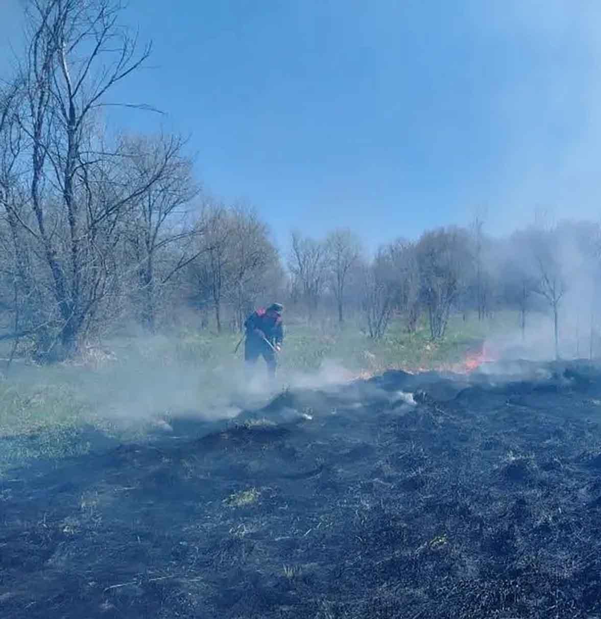 С&nbsp;начала мая лесоводы Самарской области остановили 2&nbsp;ландшафтных пожара