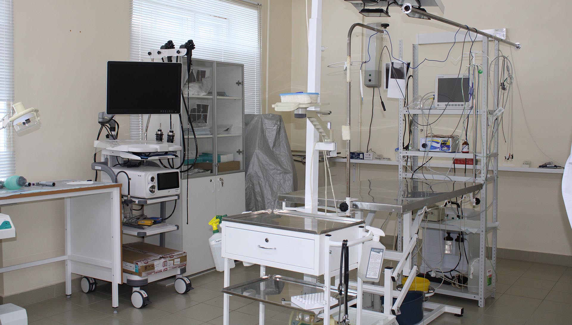 В&nbsp;Чебоксарах открыли операционный кабинет для&nbsp;домашних животных и&nbsp;птиц