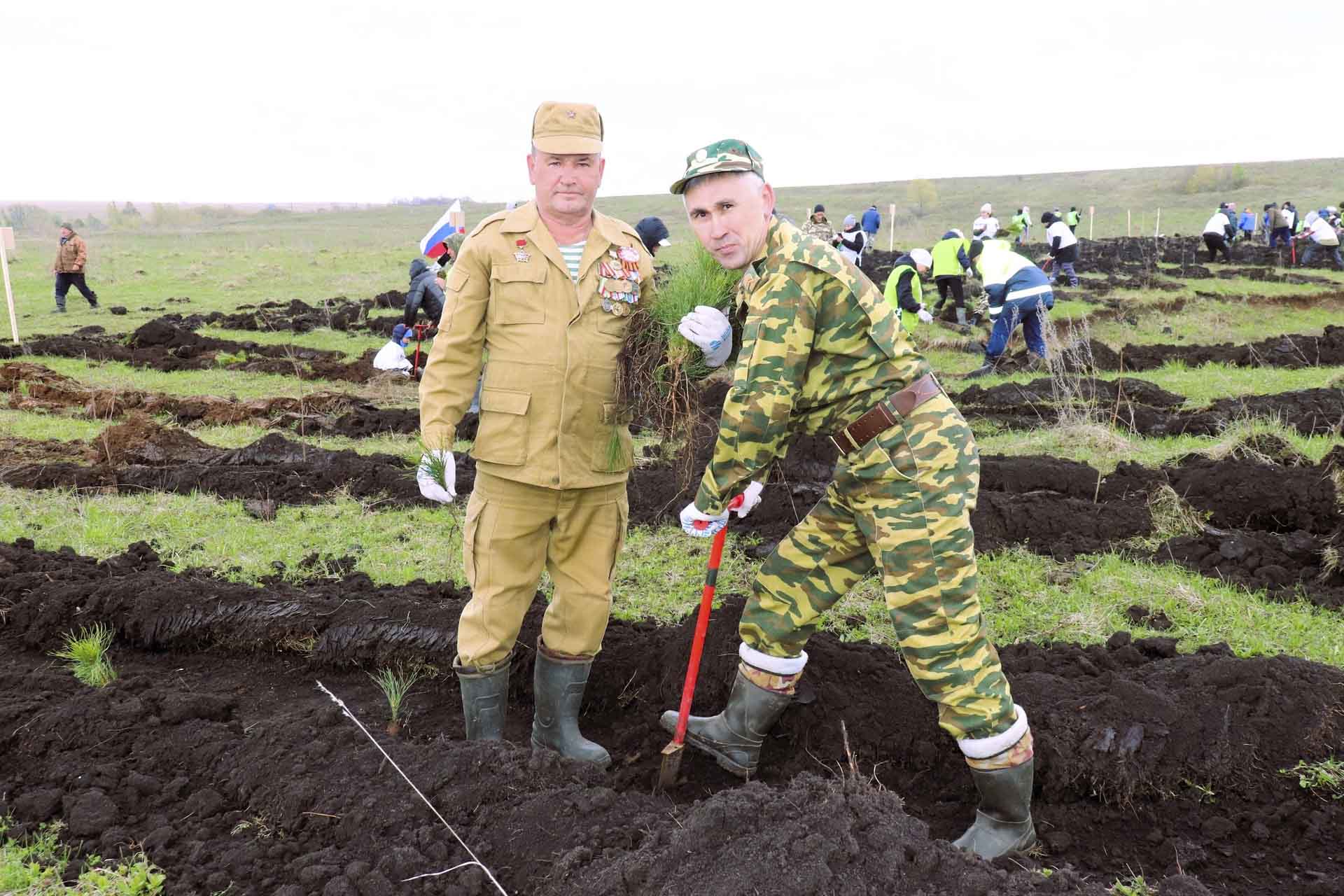 Вблизи башкирского села Байгильдино высадили 8&nbsp;тысяч молодых деревьев