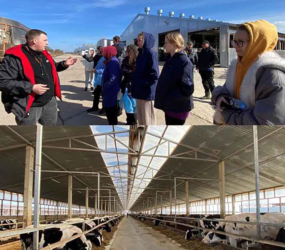 Племенной завод в&nbsp;Ленобласти посетили будущие ветеринарные врачи
