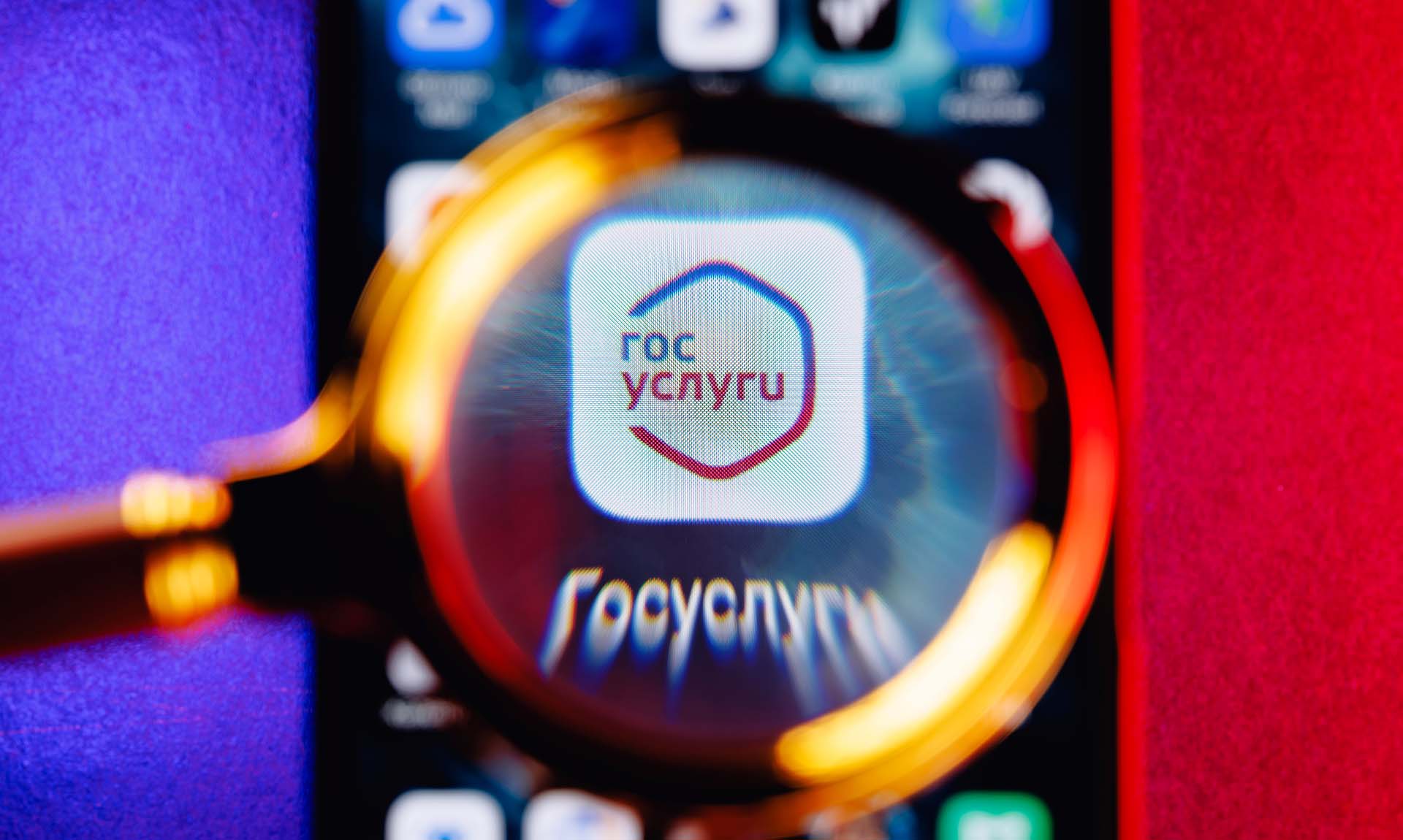 Абитуриенты подали почти 100% заявлений в&nbsp;вузы Ленобласти через &laquo;Госуслуги&raquo;