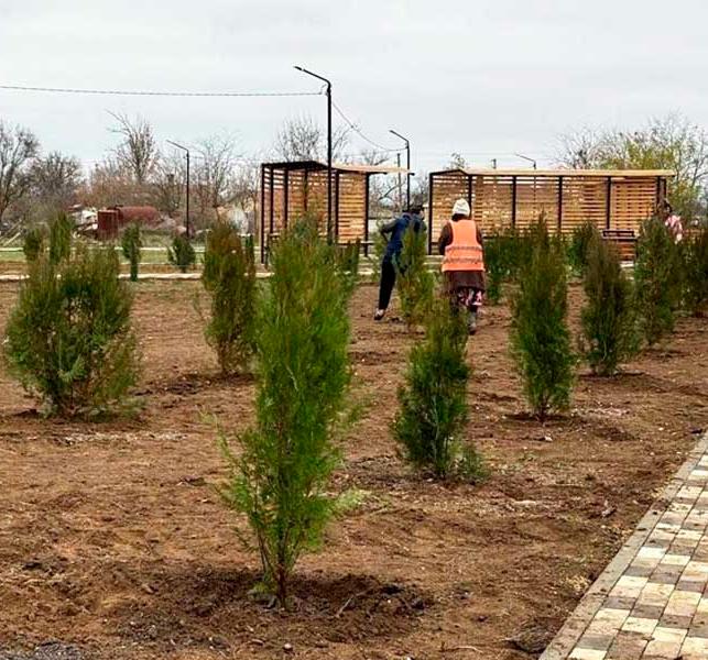 В&nbsp;новом парке села Луганского в&nbsp;Крыму высадили 160&nbsp;молодых деревьев