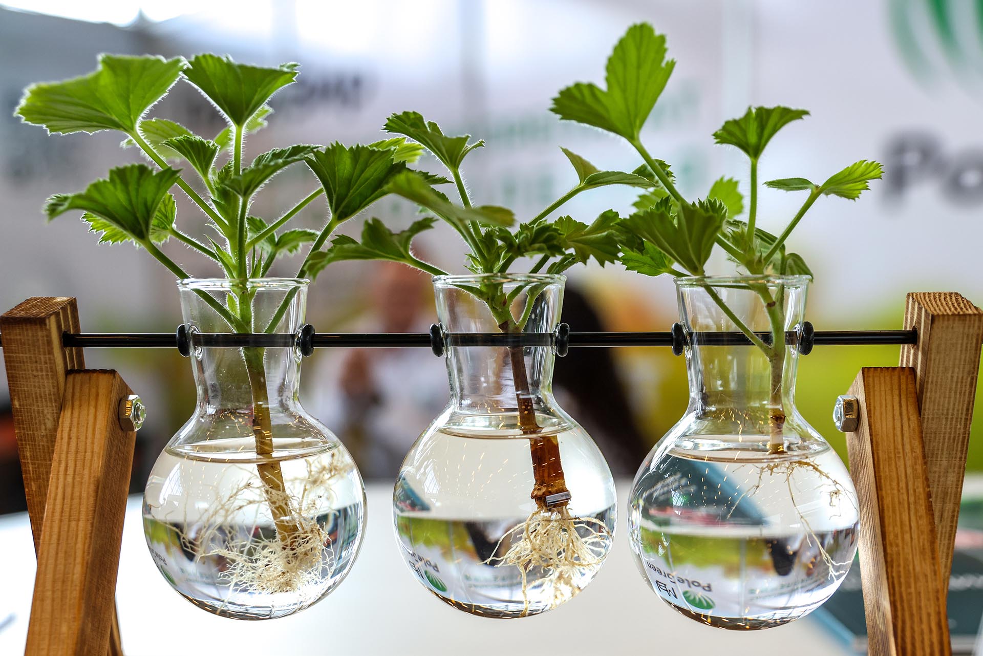 Преподаватели агровуза в&nbsp;Саратовской области провели занятия для&nbsp;школьников