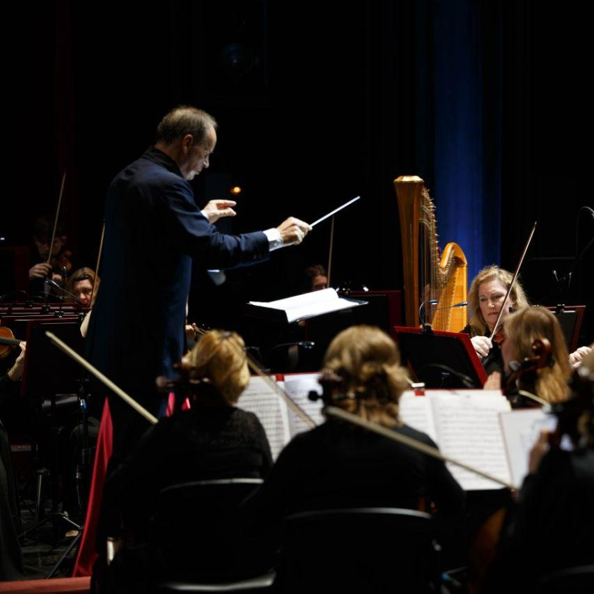 Ярославль впервые примет Арфовый фестиваль