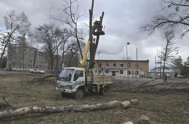 В&nbsp;приморском селе Новопокровка благоустроят сквер Знаний