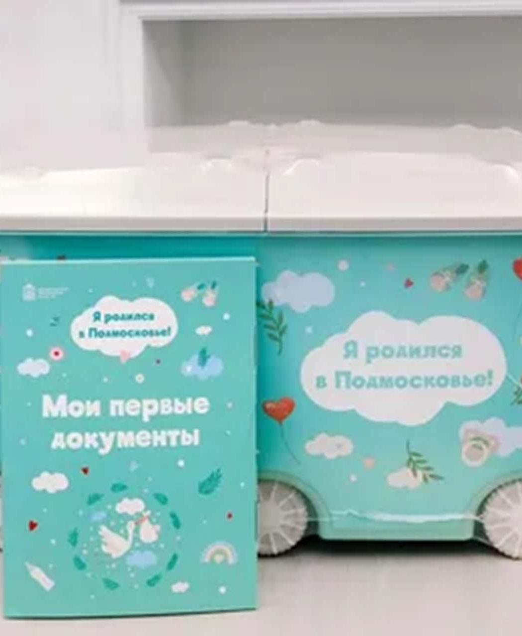 В&nbsp;Подмосковье в&nbsp;этом году вручили свыше 4&nbsp;тысяч наборов для&nbsp;новорожденных