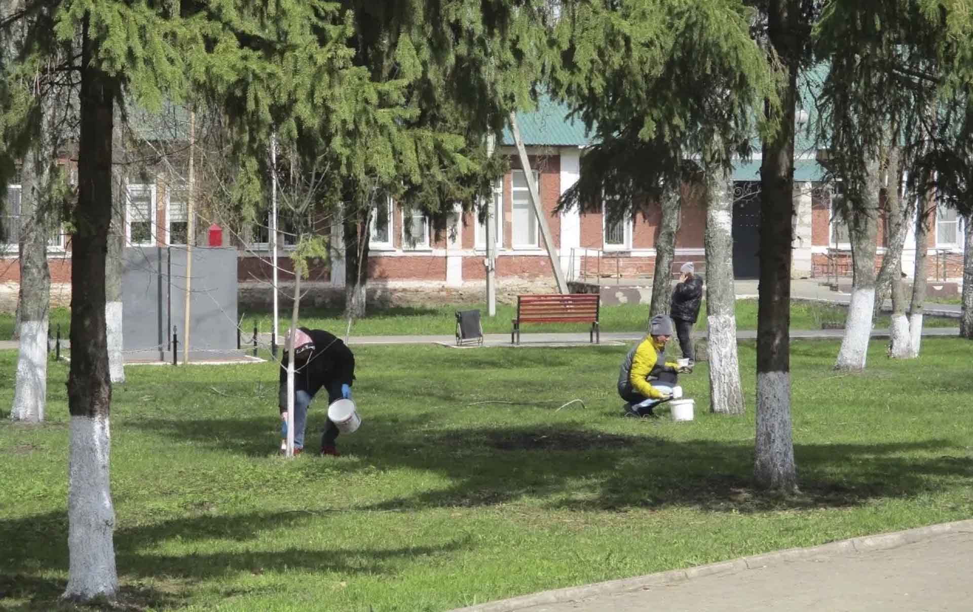 В&nbsp;парке поселка Черемисиново Курской области прошел субботник