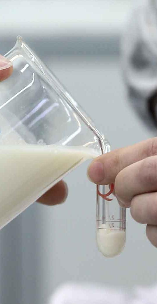 Челябинские ученые создали новую полезную кисломолочную продукцию