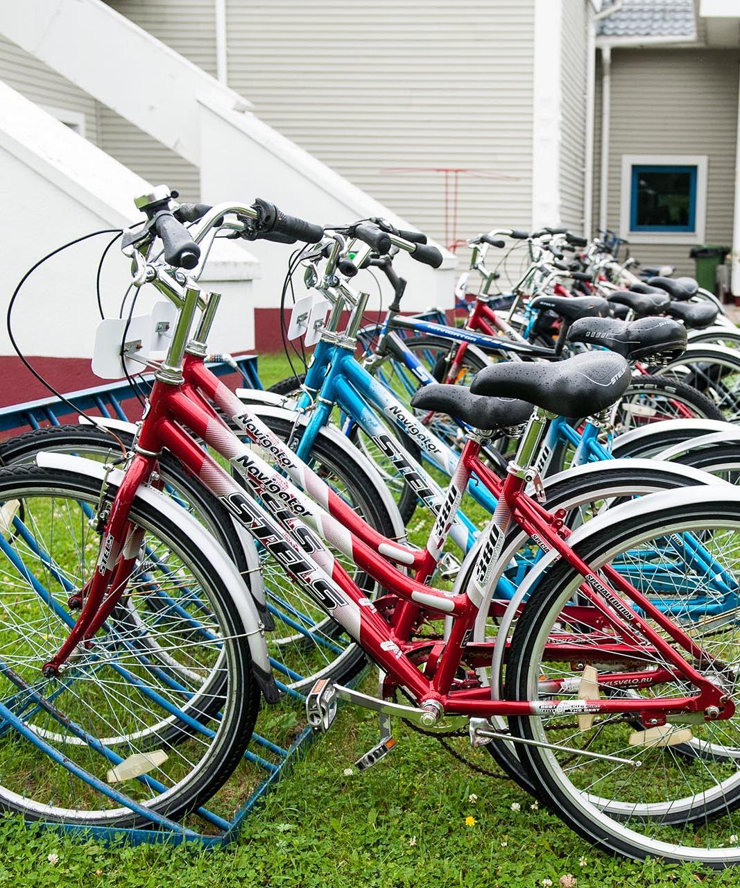 В&nbsp;Самарской области число МСП в&nbsp;сфере аренды спортинвентаря выросло на&nbsp;27%