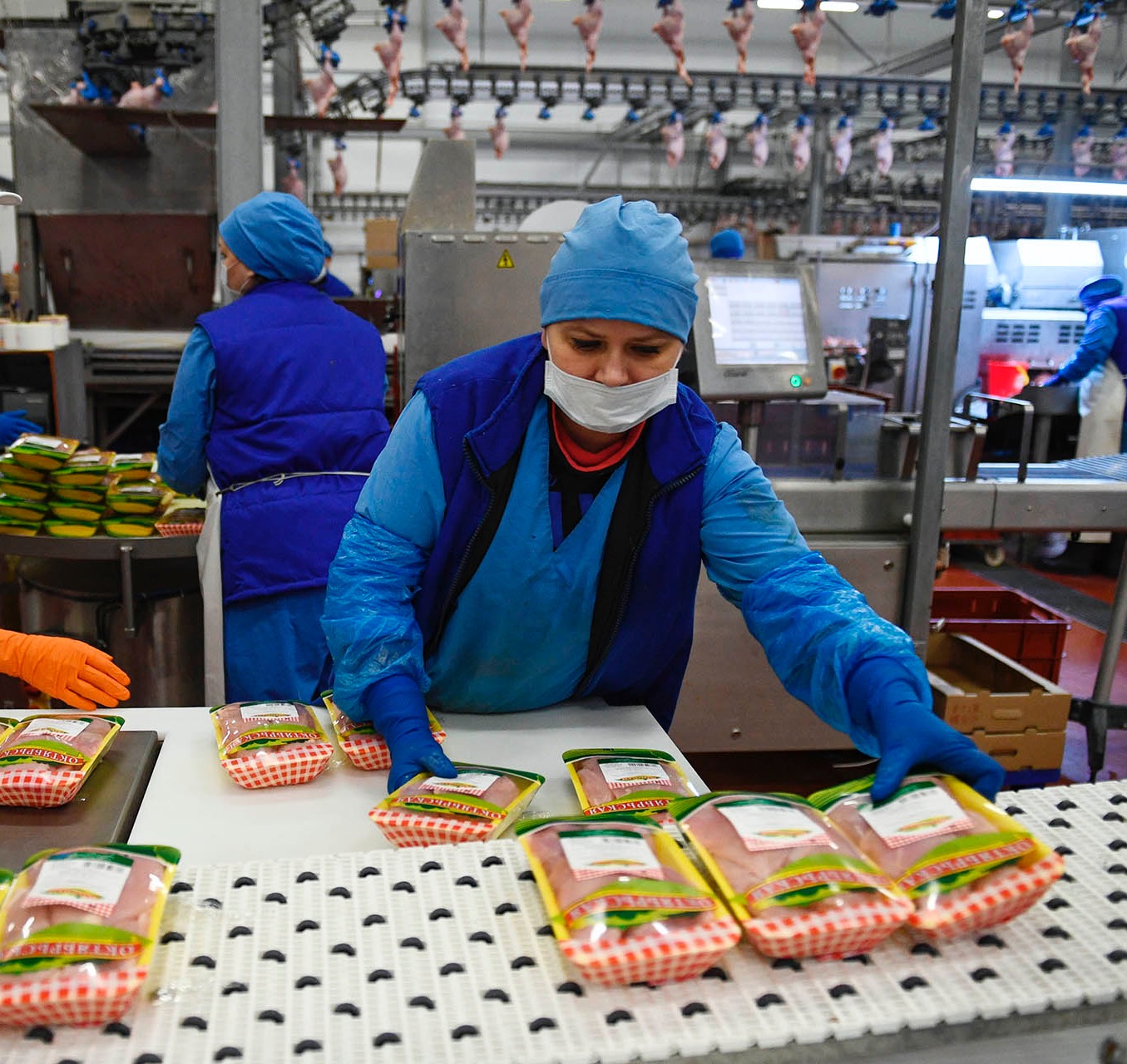 На&nbsp;Ставрополье экспорт мяса птицы в&nbsp;Китай вырос почти на&nbsp;15%