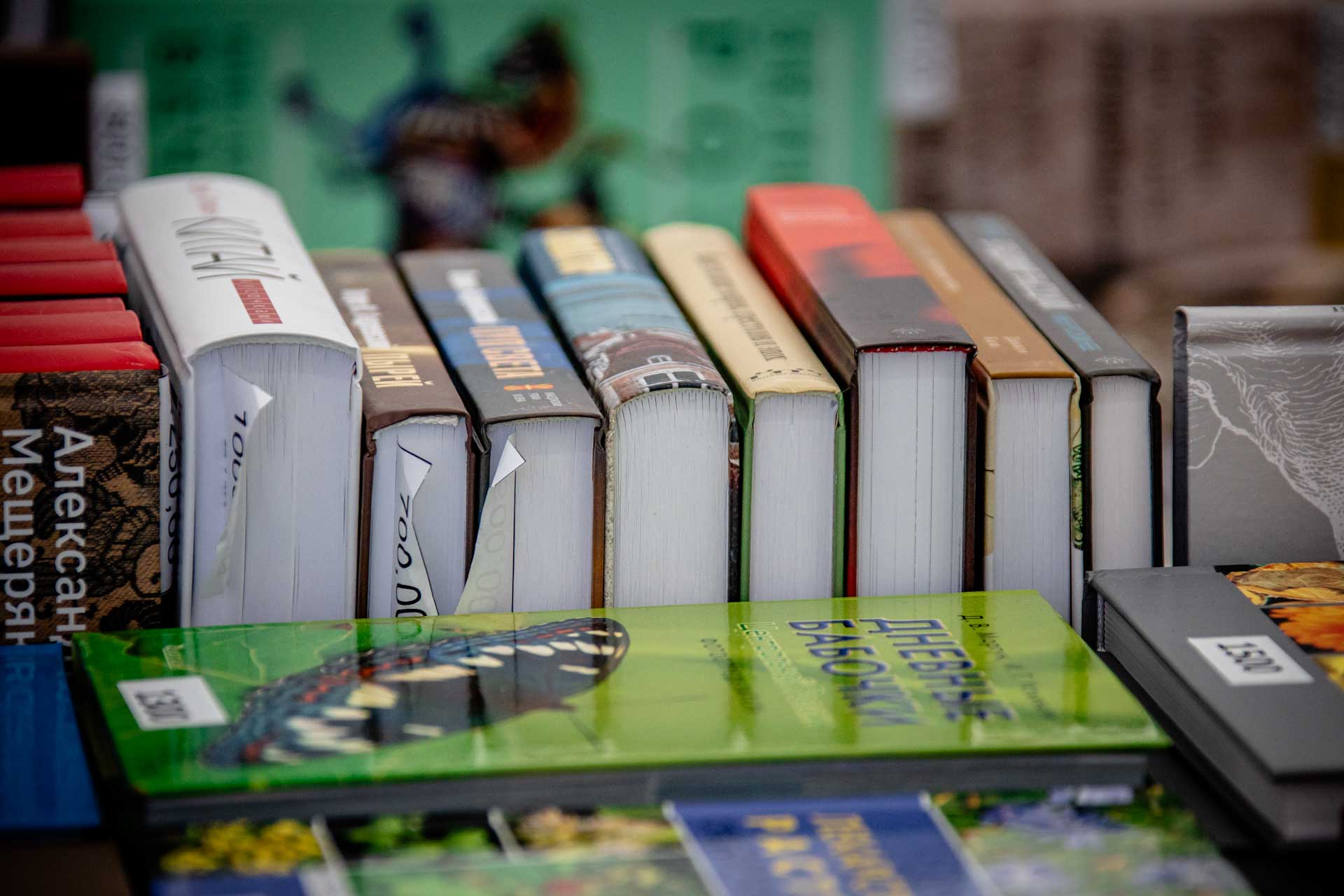 Во&nbsp;Владимире пройдет книжный фестиваль &laquo;Китоврас-2026&raquo;