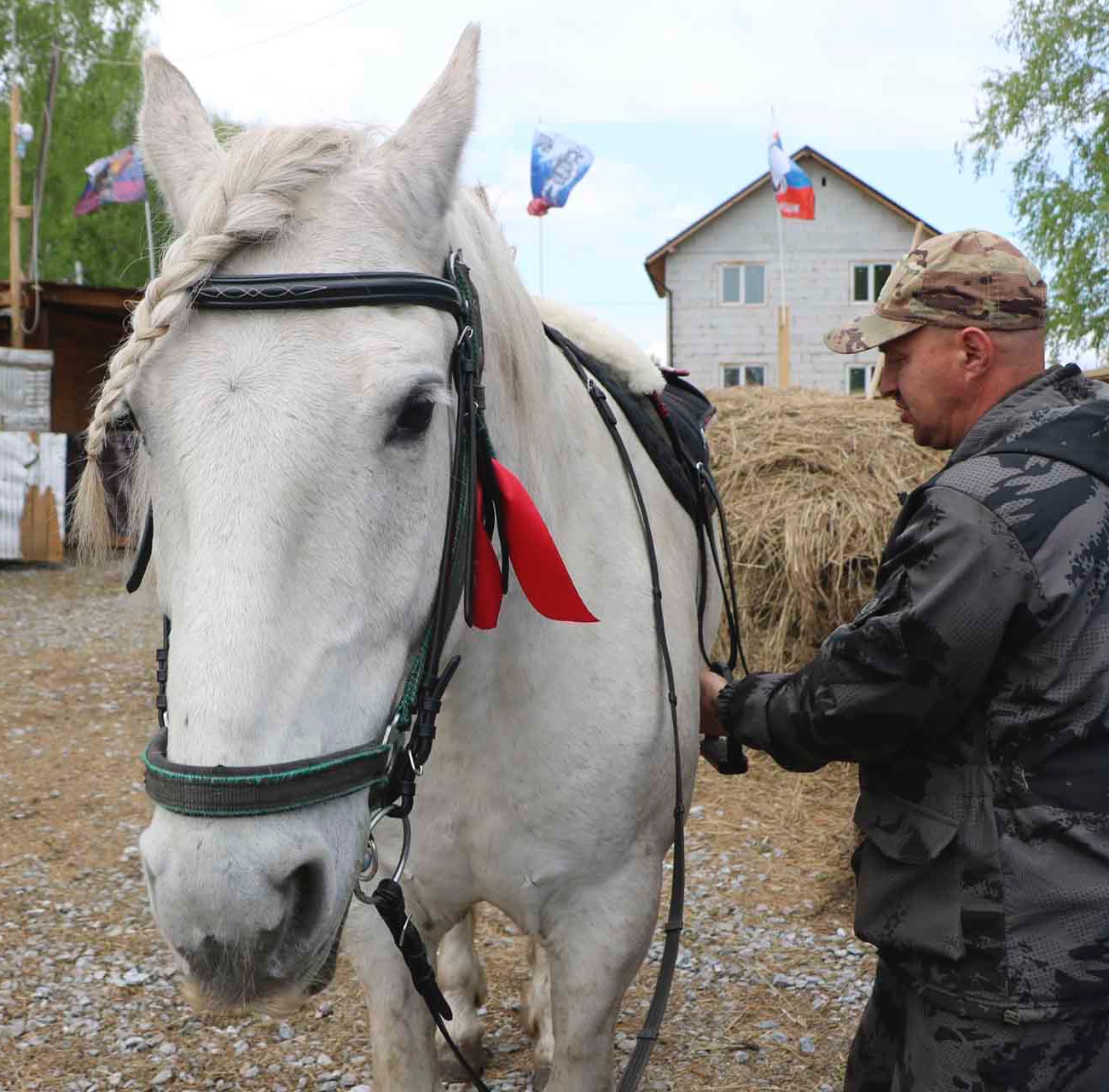 Житель Новосибирской области открыл конный клуб благодаря соцконтракту