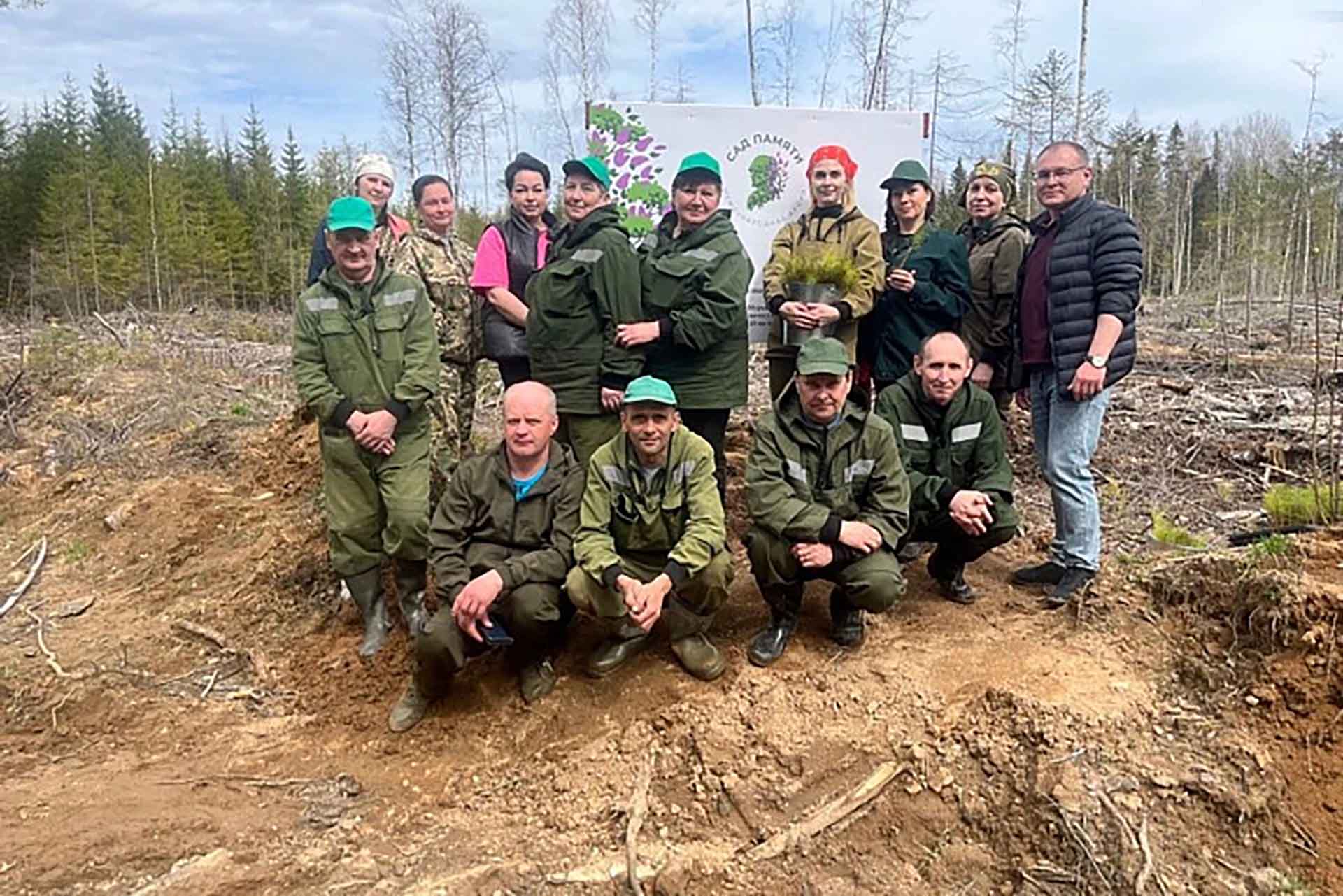В&nbsp;Кировской области высадили более 200&nbsp;тысяч сеянцев ели и&nbsp;сосны