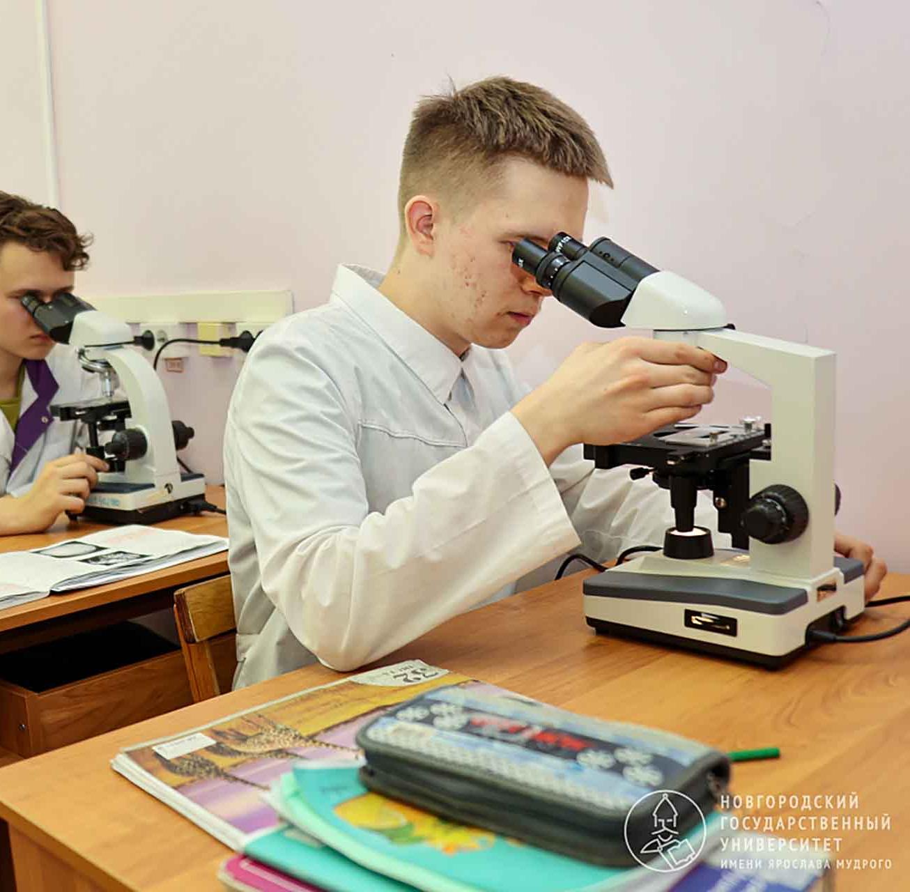 Новгородские ученые научились быстрее подбирать химиотерапию