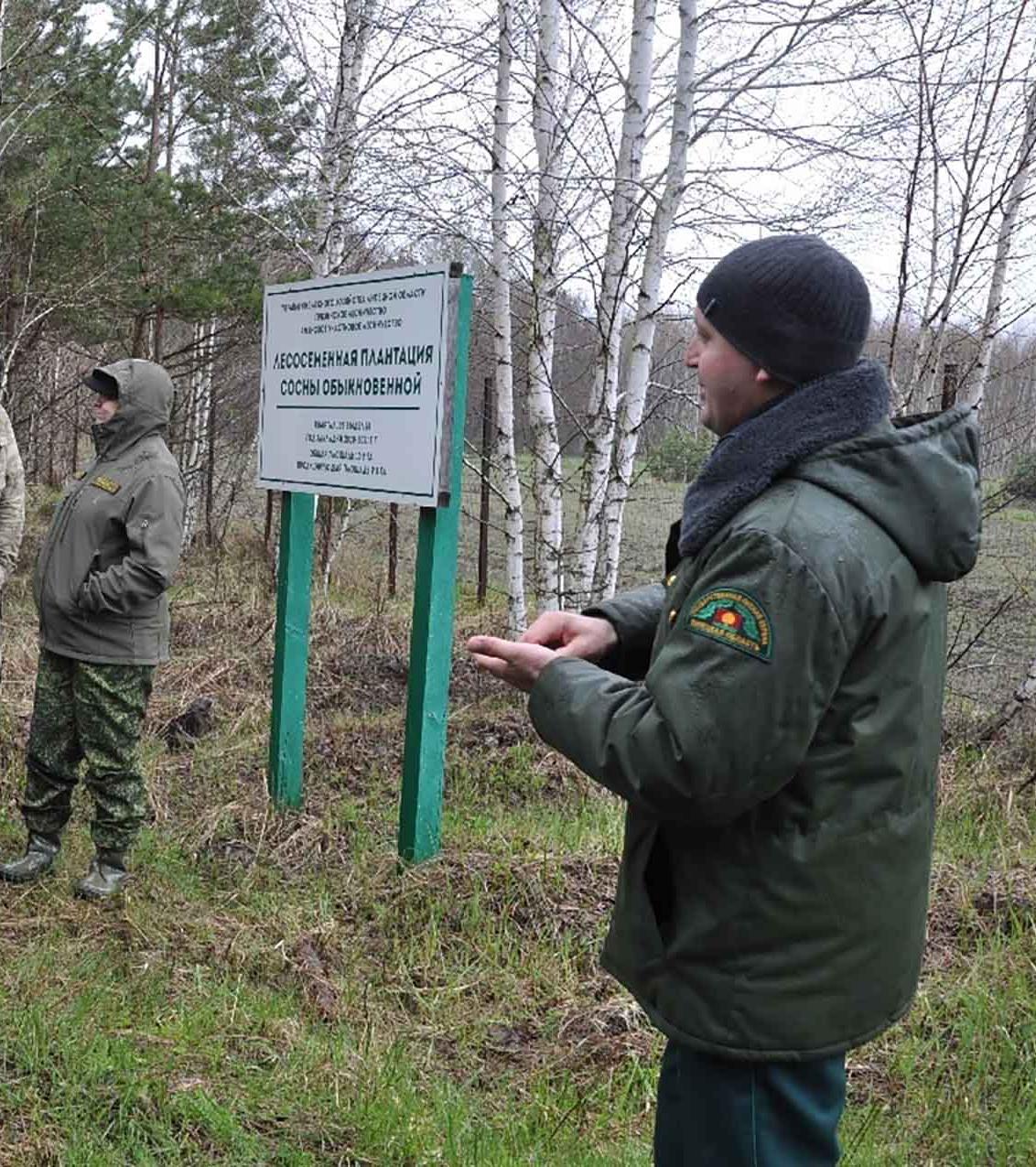 Делегатам Подмосковья показали уникальные плантации леса в&nbsp;Липецкой области