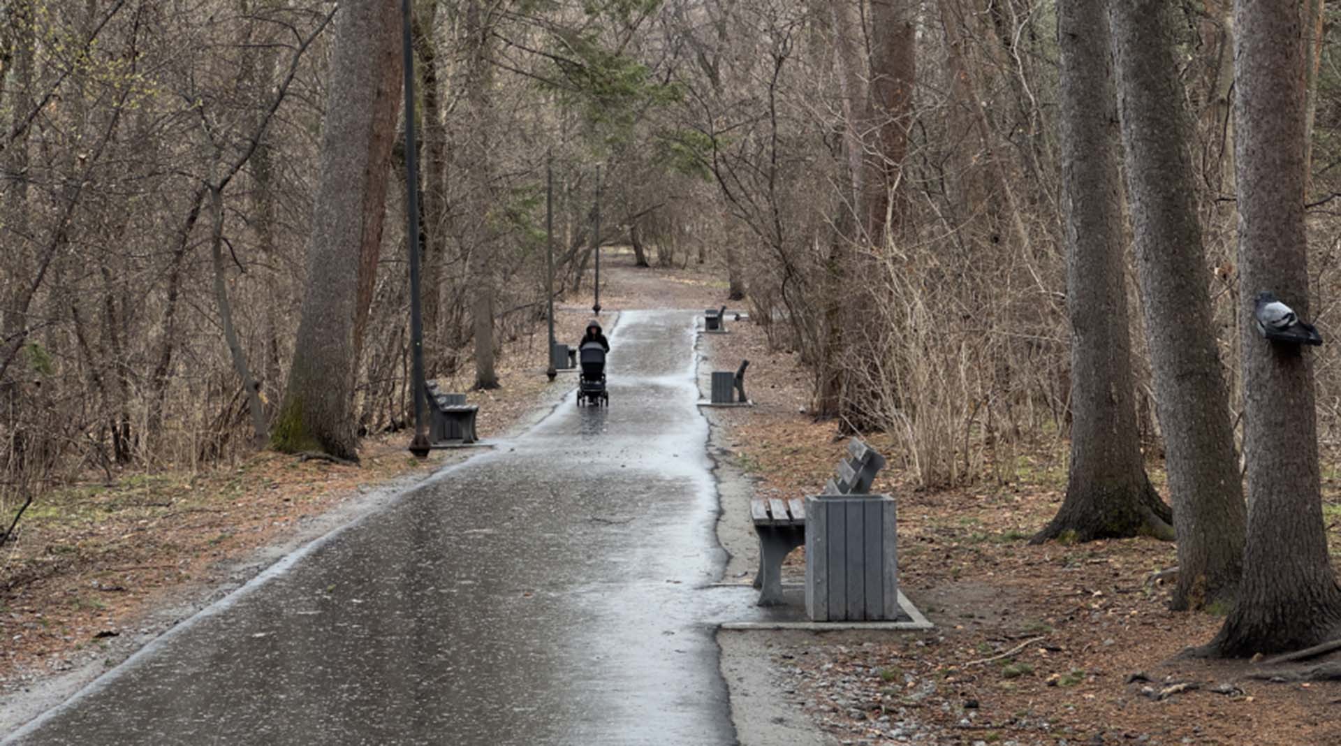 В&nbsp;Хабаровском дендрарии завершено масштабное благоустройство