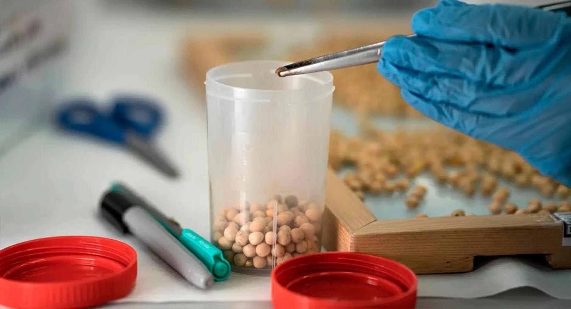 Татарстан экспортировал более 31&nbsp;тысячи тонн зерновой продукции в&nbsp;Китай
