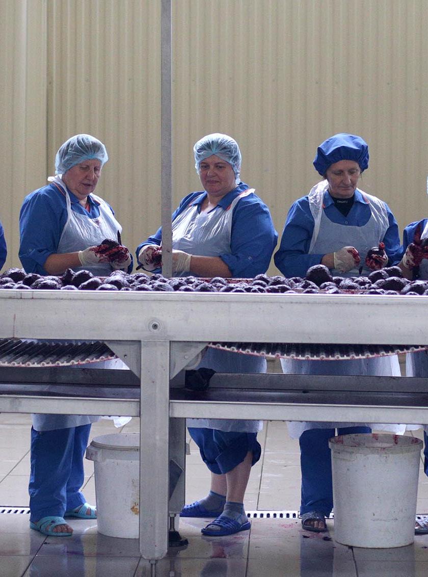 На&nbsp;кубанском сахарном комбинате улучшат процесс приема свеклы