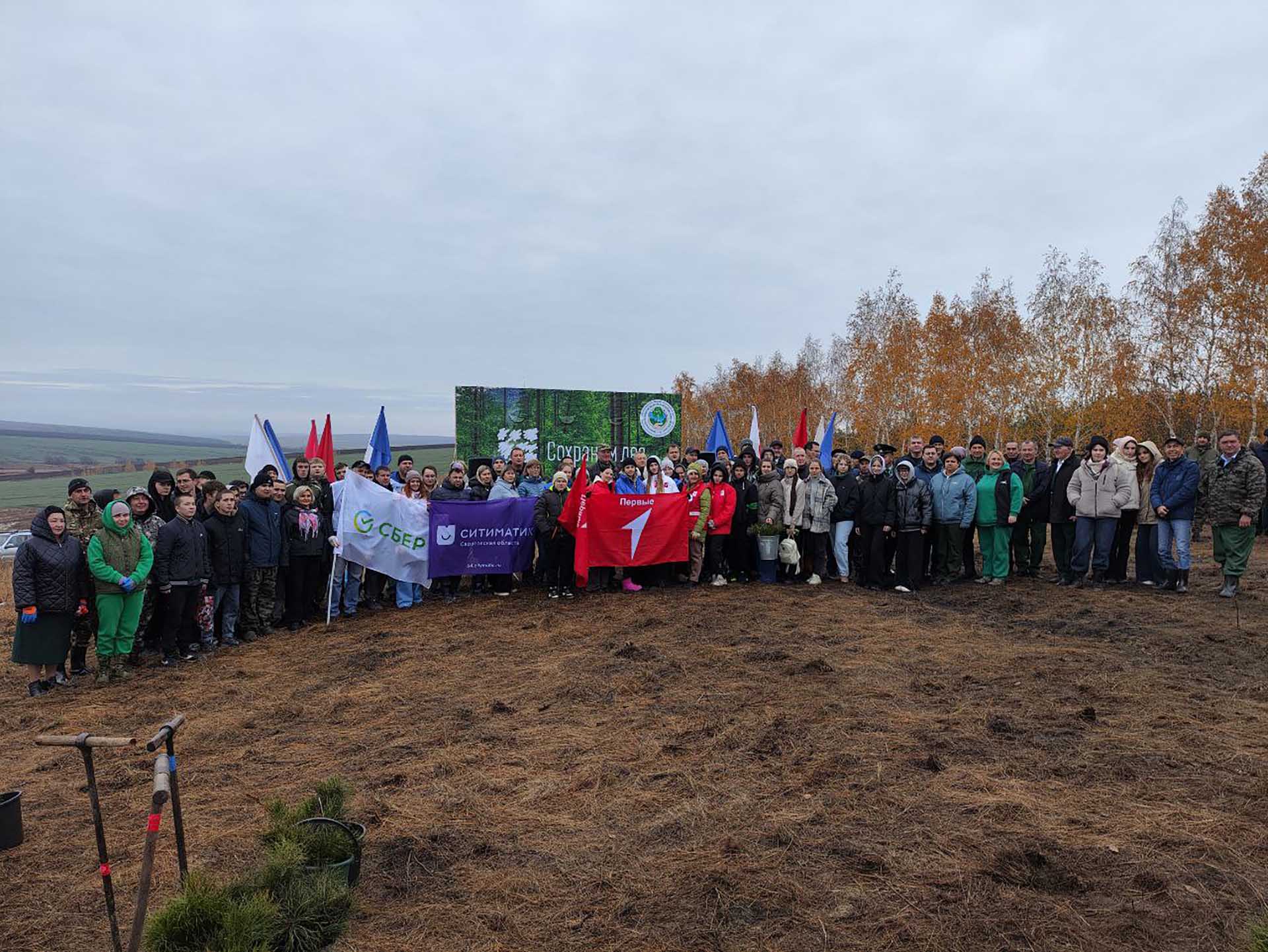 В&nbsp;Саратовской области в&nbsp;этом году высадили около 12&nbsp;миллионов деревьев