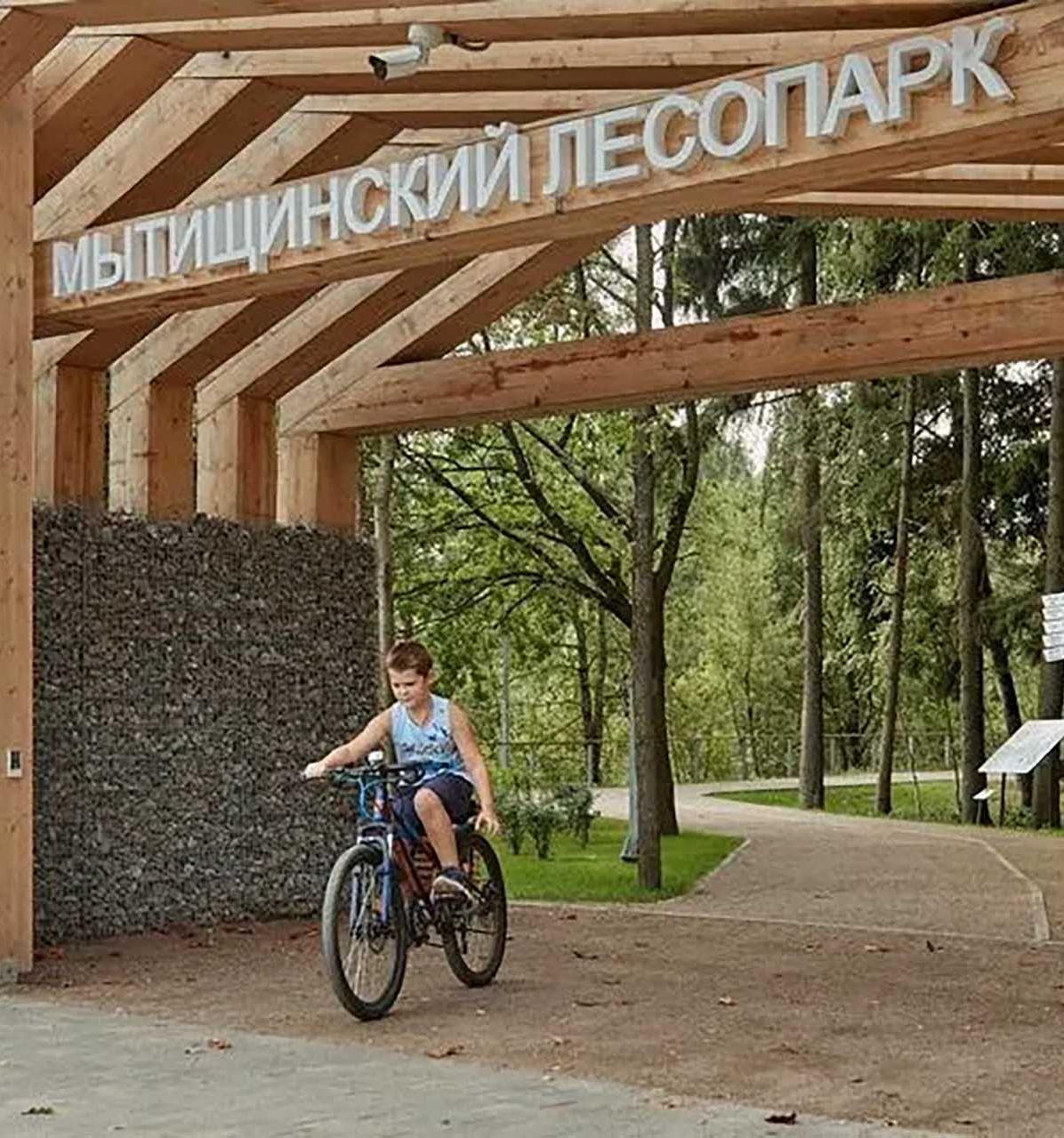 В&nbsp;Мытищах до&nbsp;конца ноября благоустроят Пироговский лесопарк