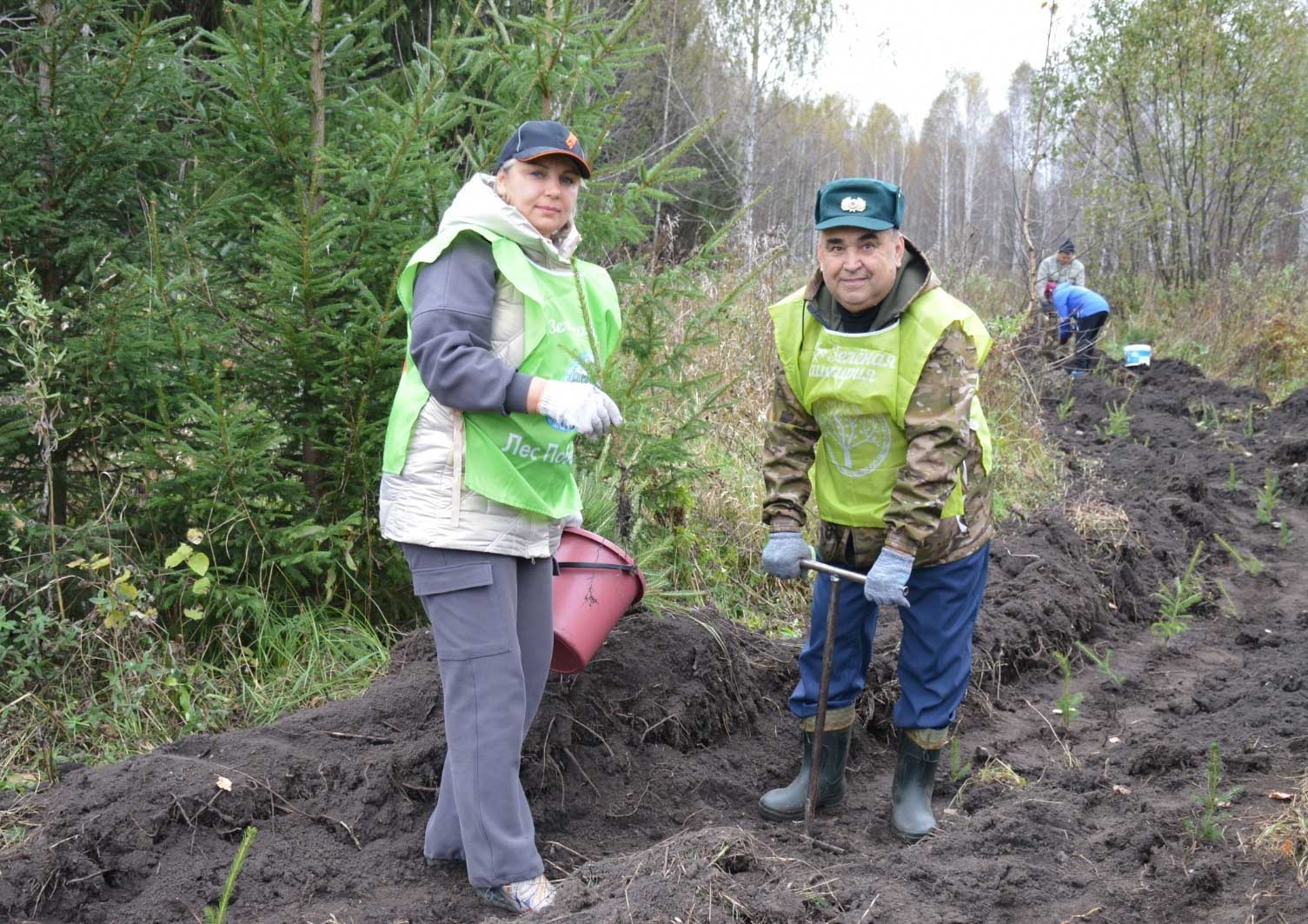 В&nbsp;2026&nbsp;году в&nbsp;Башкирии восстановят не&nbsp;менее 13&nbsp;тысяч гектаров леса
