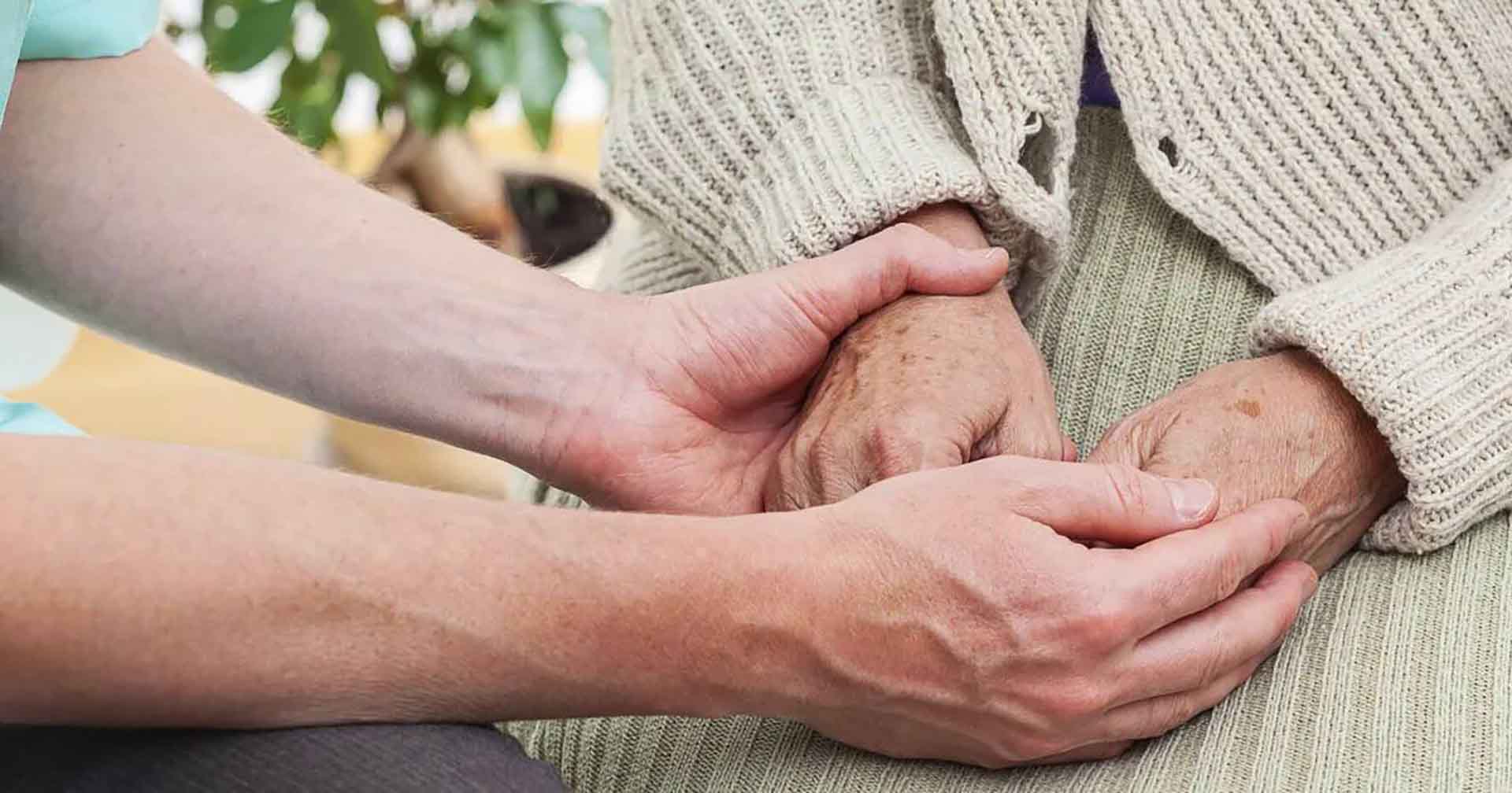 Система долговременного ухода на&nbsp;дому охватила более 300&nbsp;жителей Дагестана