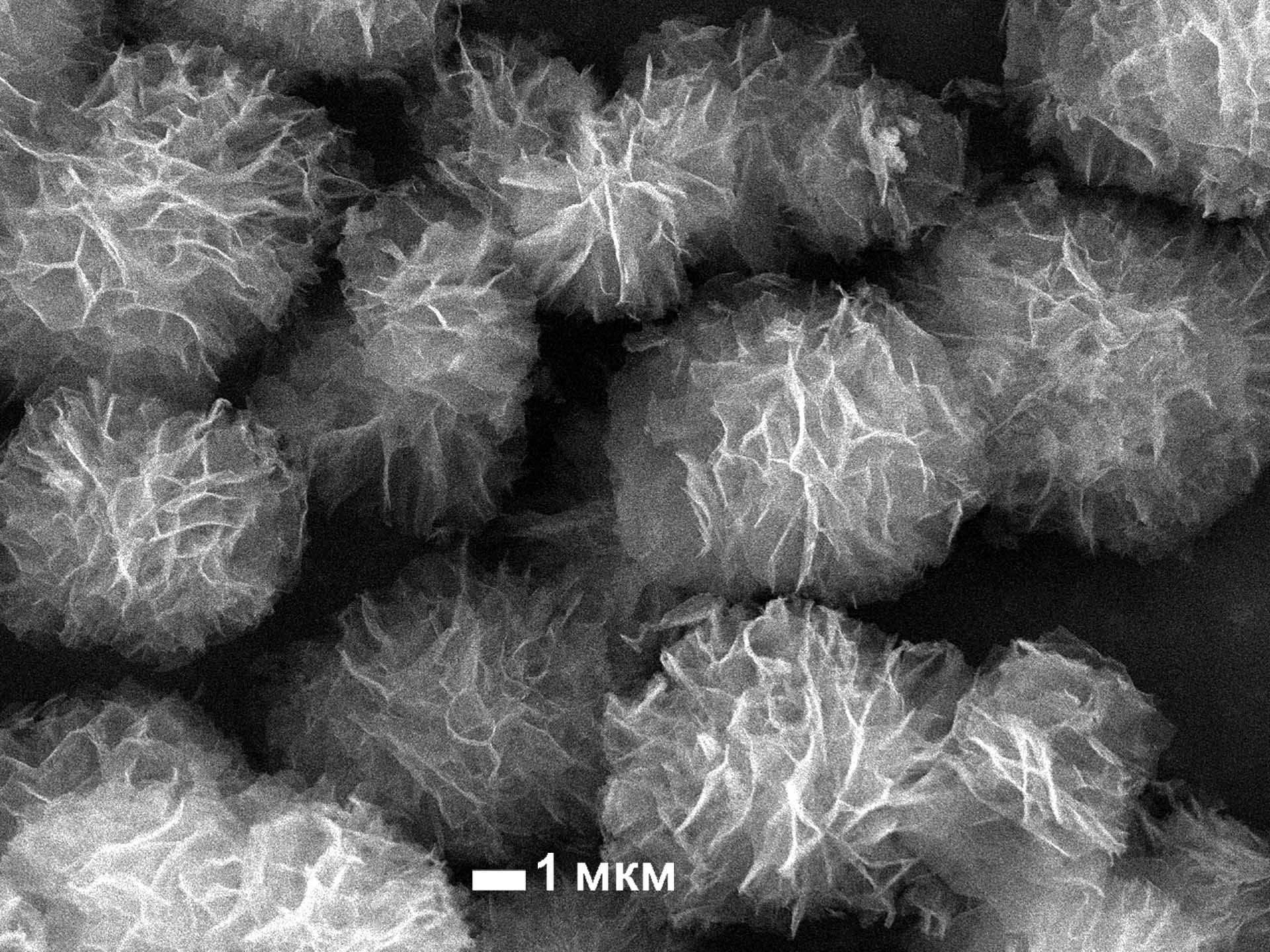 Челябинские ученые смогли сделать пластик менее токсичным