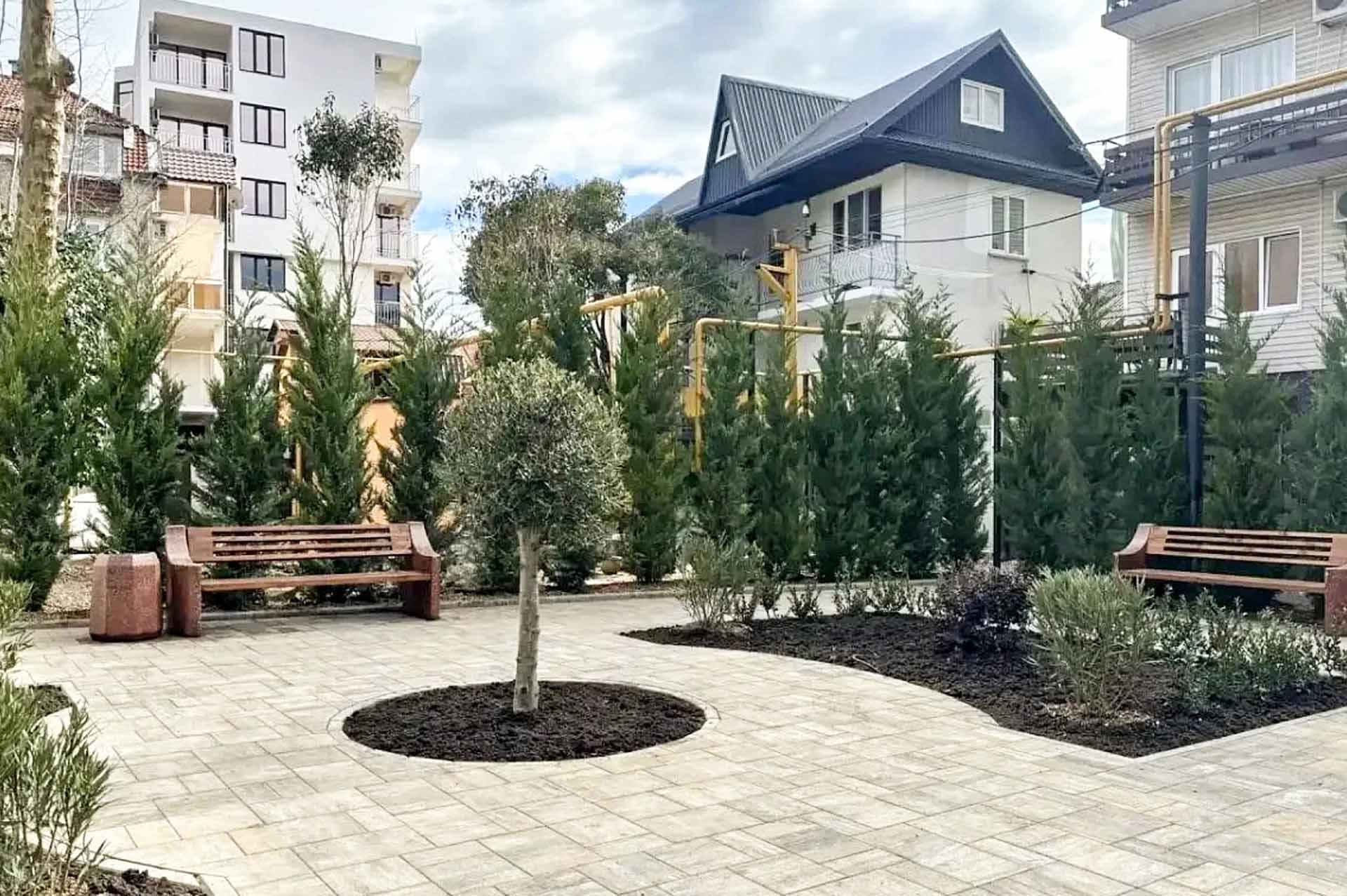 С&nbsp;начала года в&nbsp;Сочи высадили около 5&nbsp;тысяч деревьев и&nbsp;кустарников