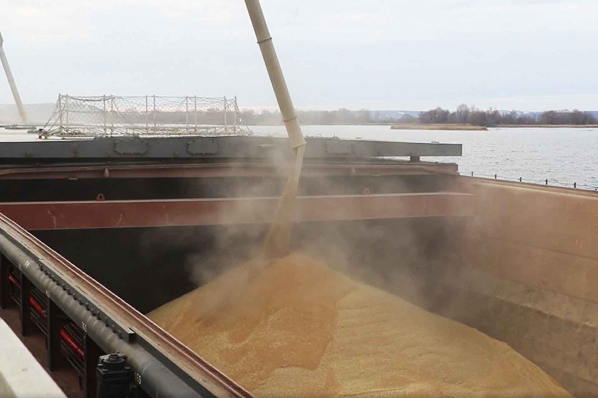 В&nbsp;Татарстане проверили качество 7,9&nbsp;тыс. тонн экспортных зерновых культур