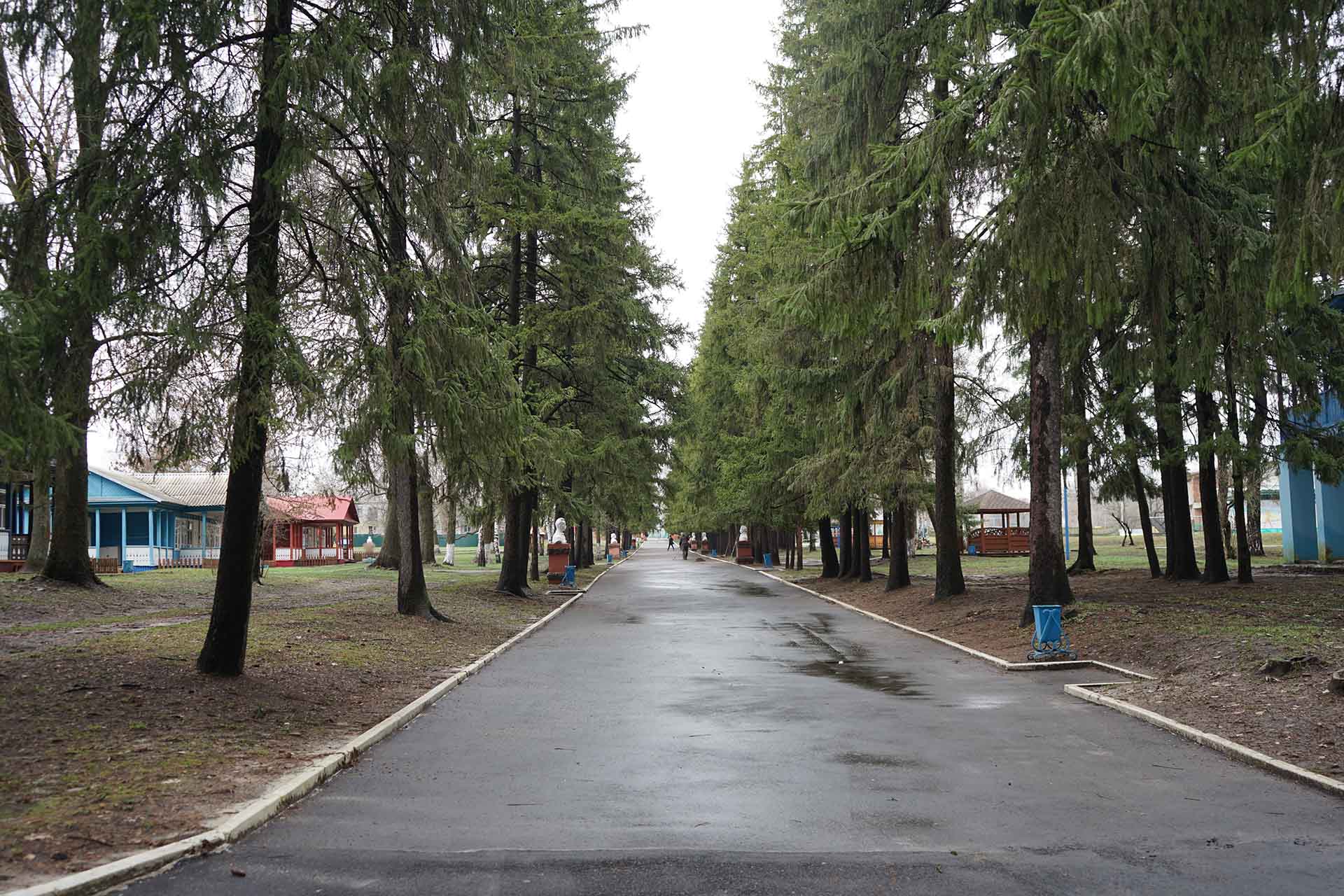 В&nbsp;Саратовской области отремонтируют дороги к&nbsp;санаториям и&nbsp;детским лагерям