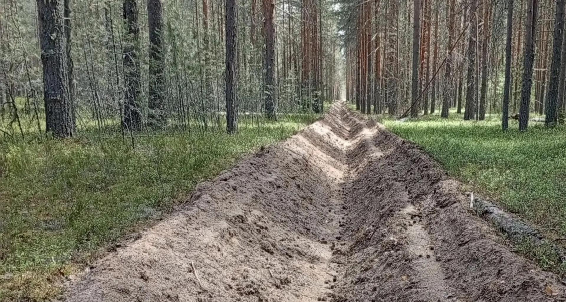 В&nbsp;лесах Вологодской области завершили основные противопожарные работы