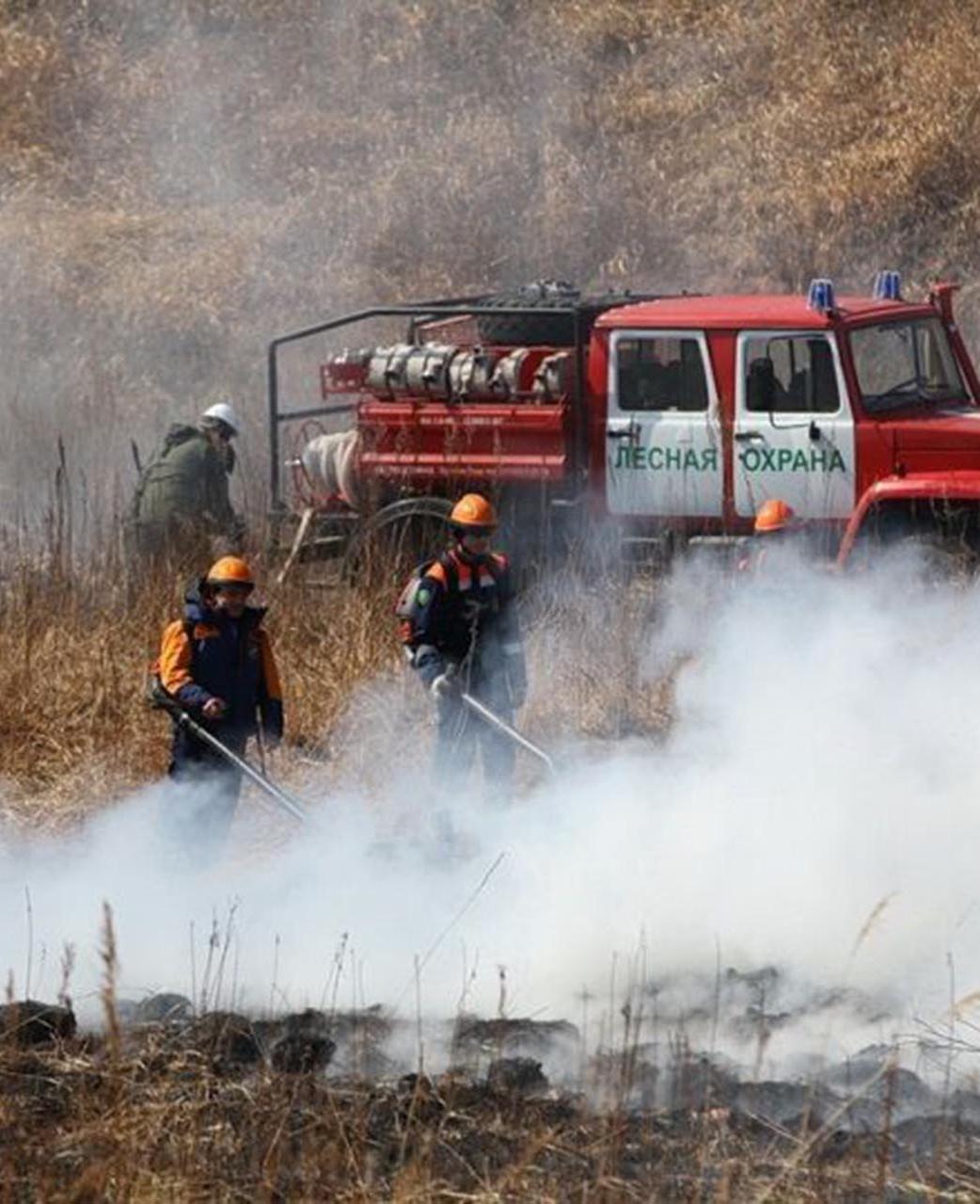В&nbsp;Калужской области подвели итоги пожароопасного сезона