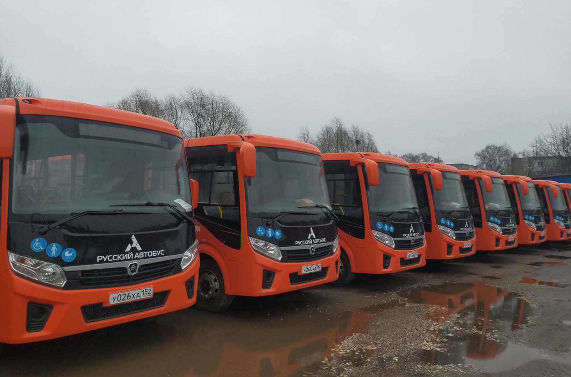 Еще&nbsp;50&nbsp;новых автобусов поступили в&nbsp;Нижний Новгород