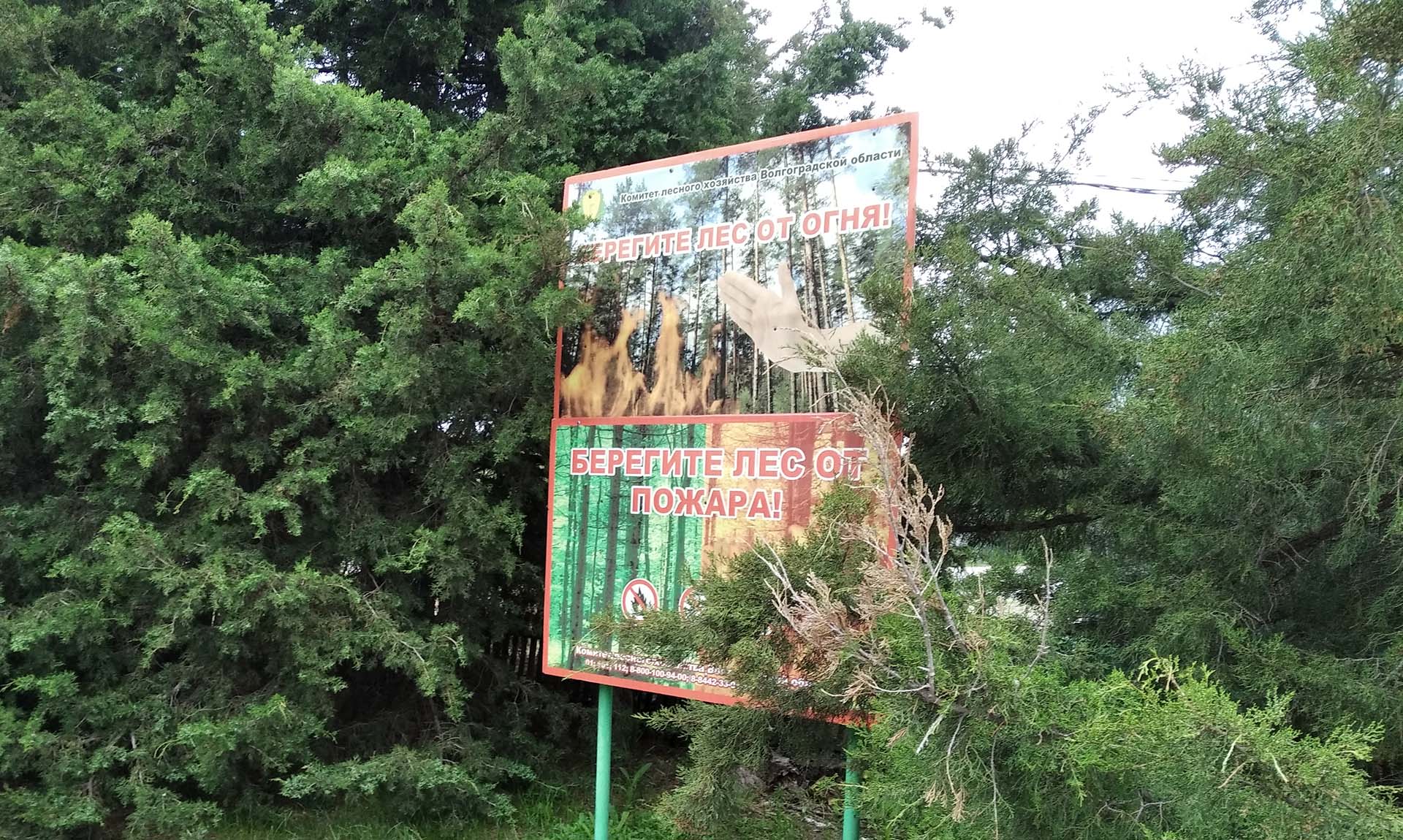 В&nbsp;Волгоградской области снизилось количество лесных пожаров