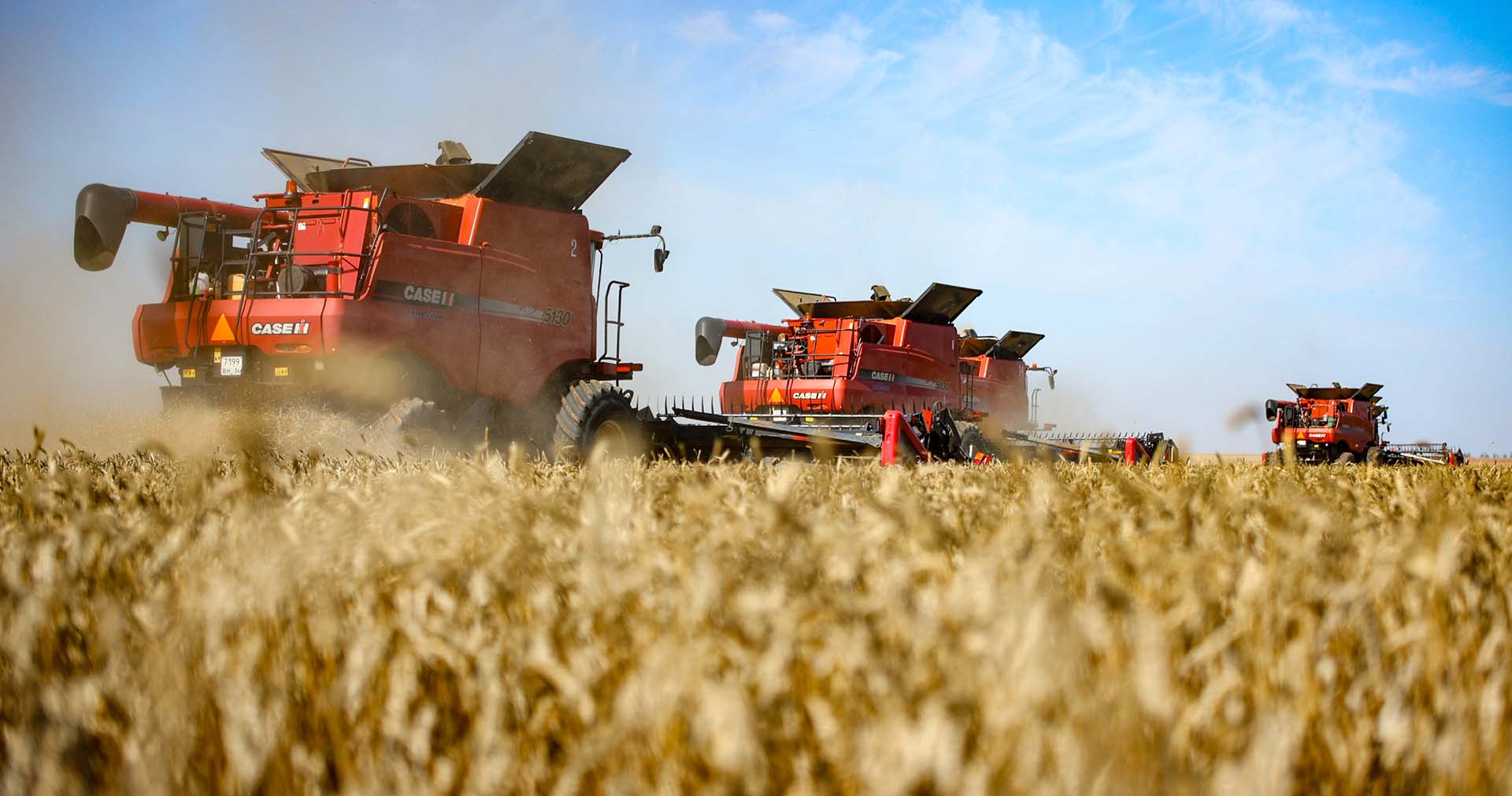 От&nbsp;нишевых культур до&nbsp;агротуризма: как&nbsp;бизнес становится локомотивом АПК