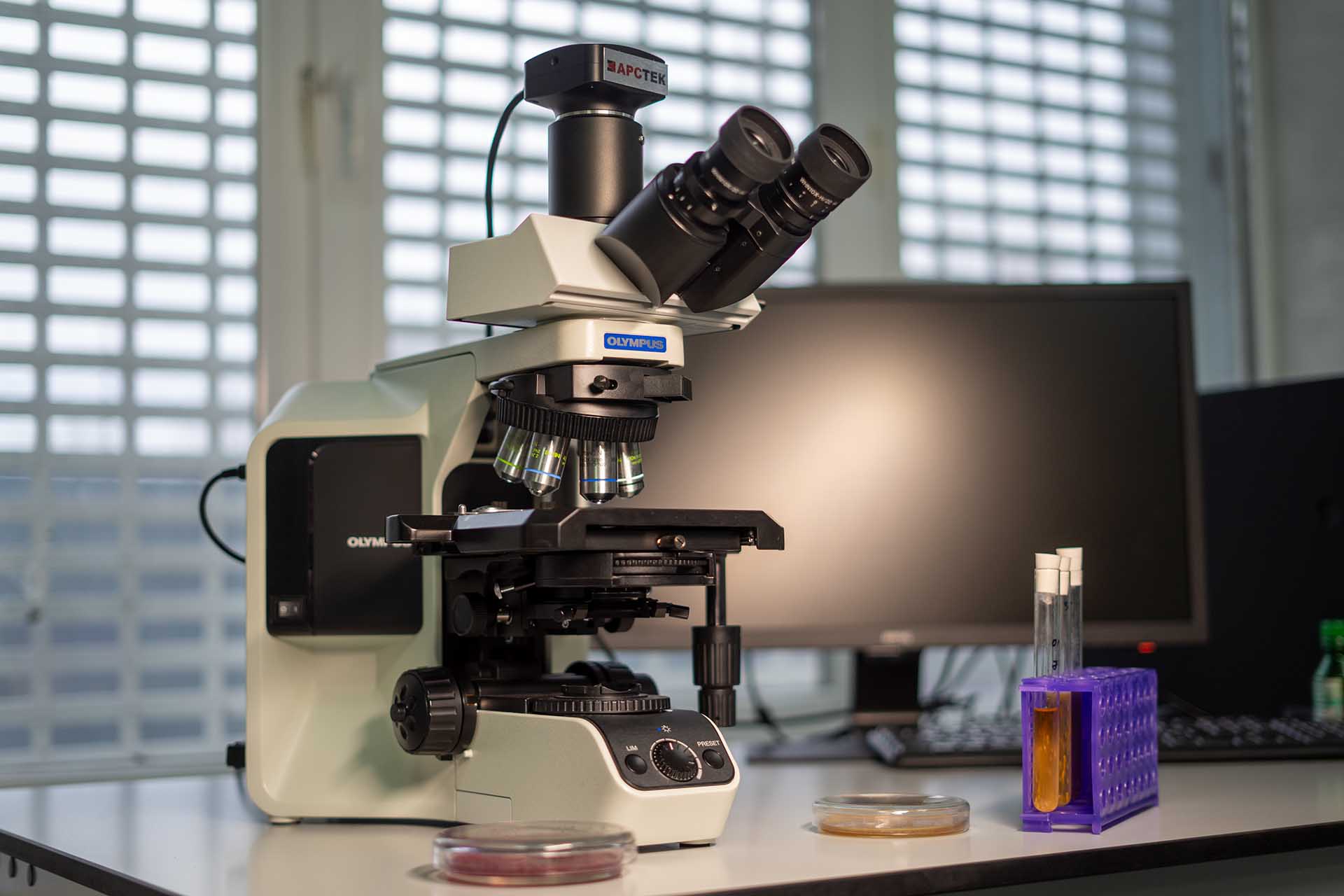 Кубанские ученые научились получать антигены против инфекций животных