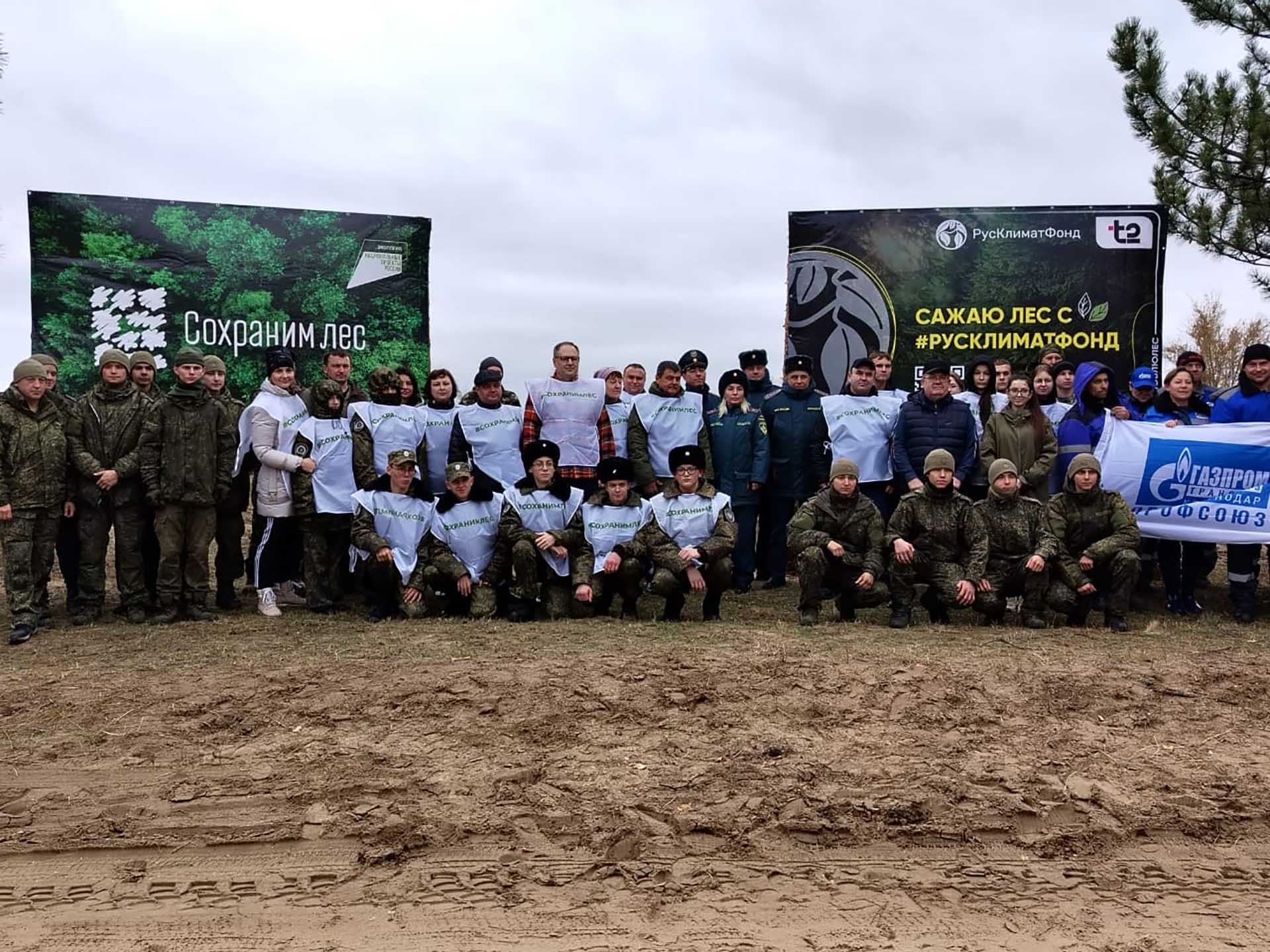 На&nbsp;Дону в&nbsp;лесничестве высадили 10&nbsp;тысяч сеянцев сосны