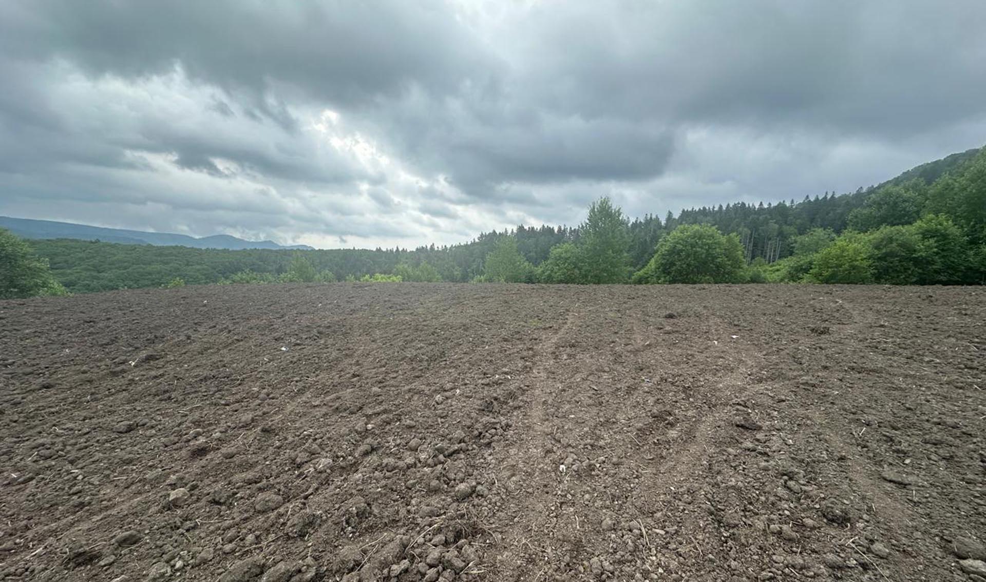 На&nbsp;Сахалине рекультивировали свалку площадью 3,7&nbsp;гектара