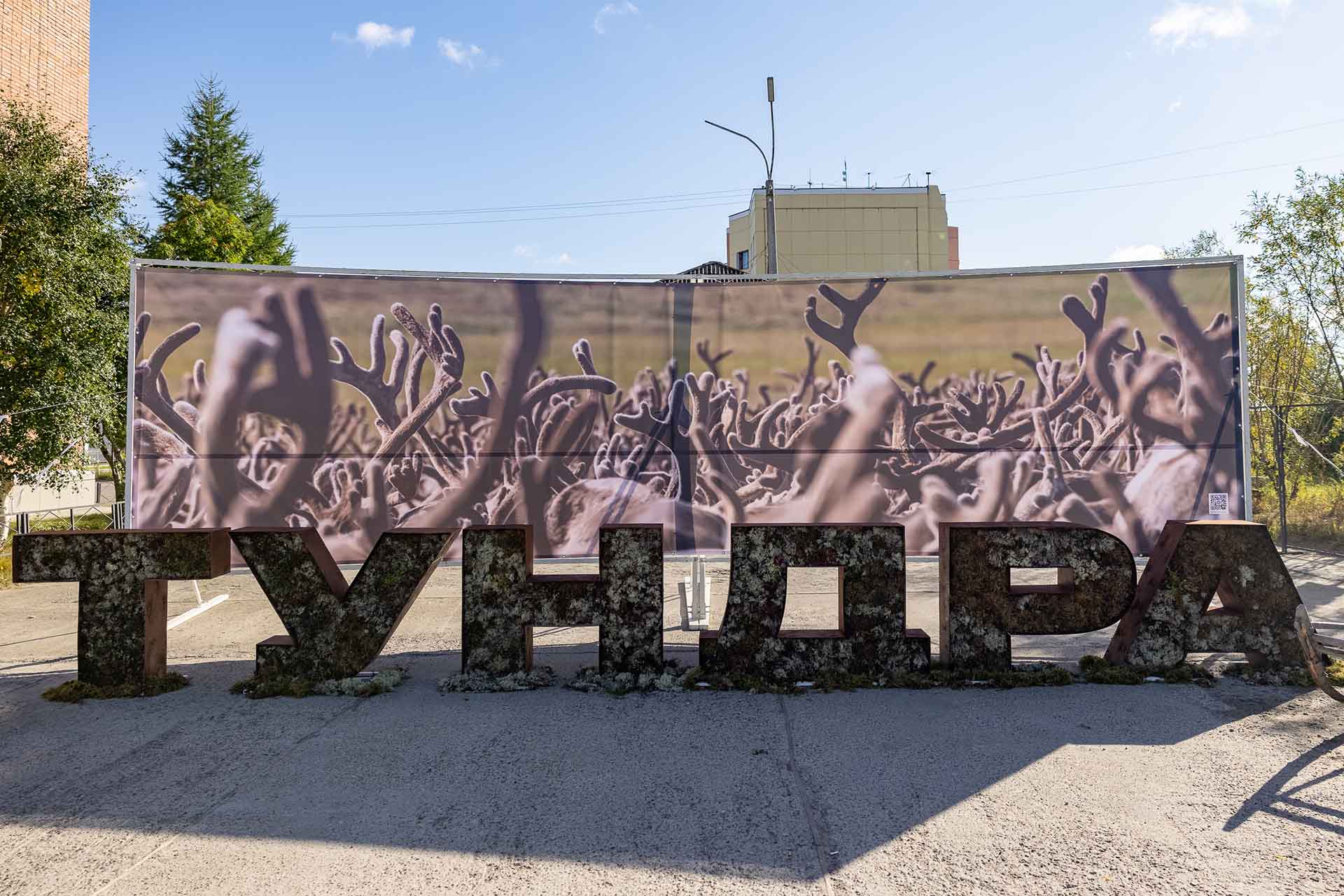 В&nbsp;Ненецком автономном округе пройдет гастрономический фестиваль &laquo;Тундра&raquo;