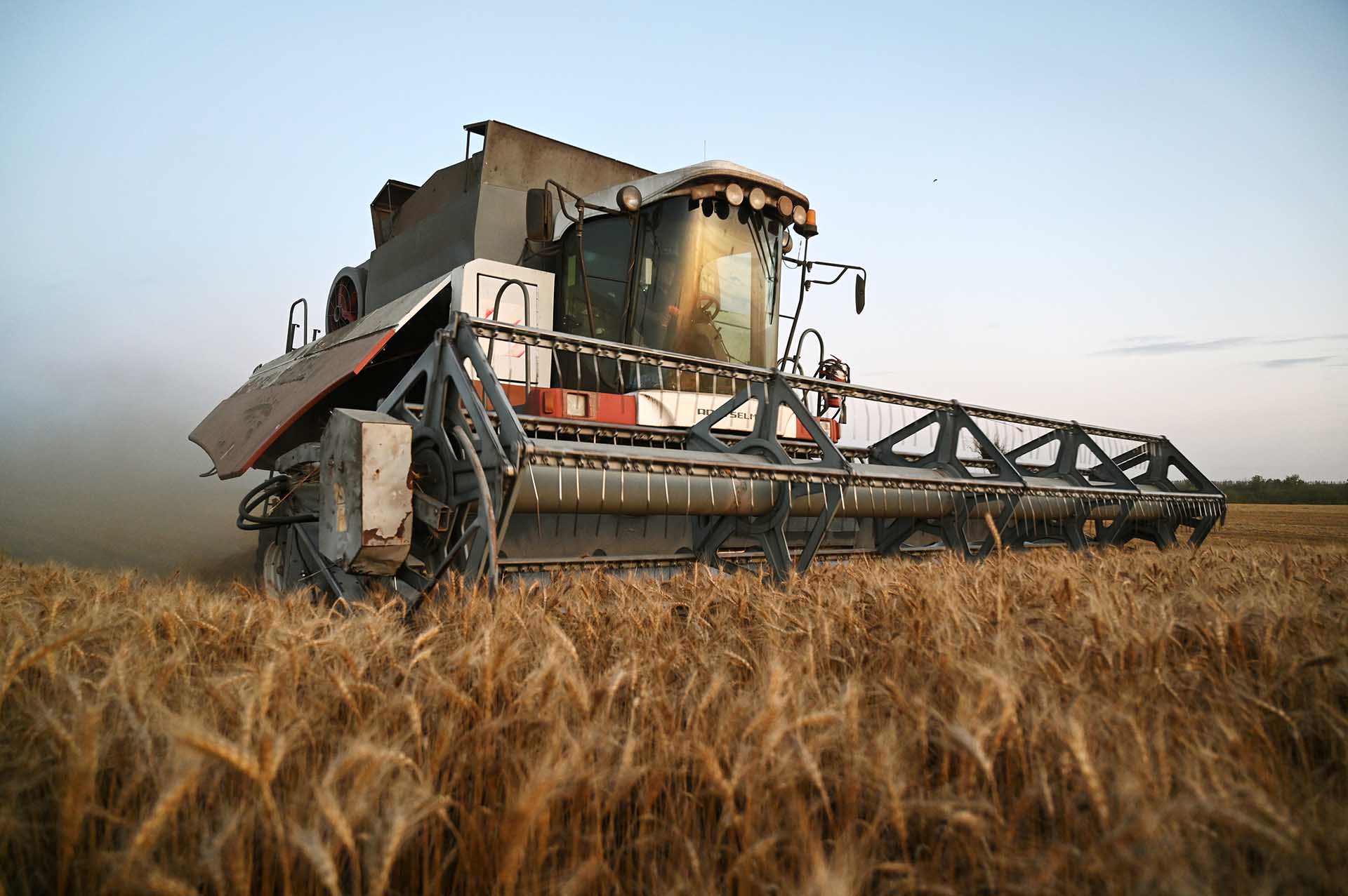 Михаил Мишустин: сельское хозяйство России адаптировалось к&nbsp;вызовам