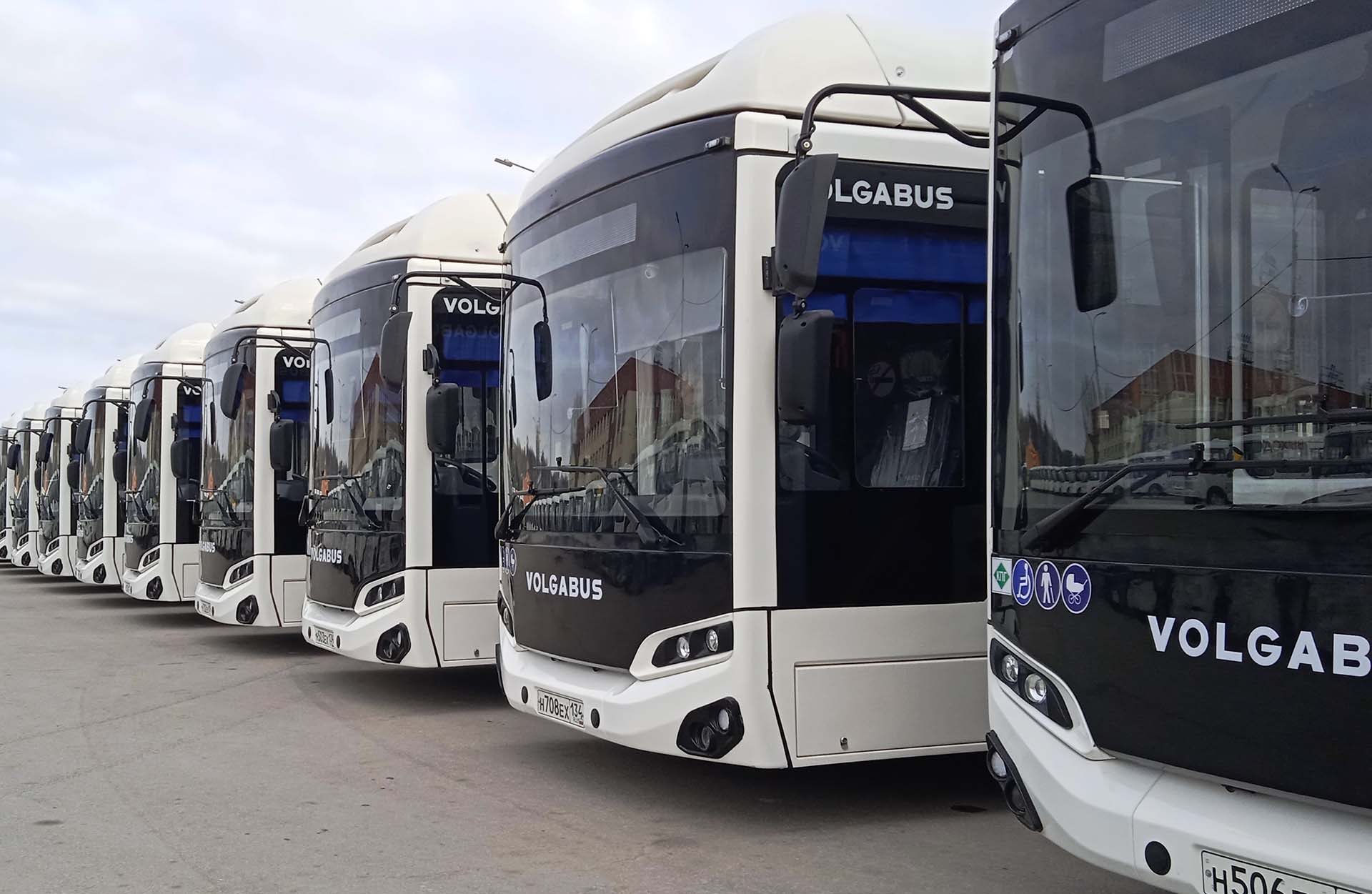 Волгоградская область получит 49&nbsp;новых автобусов