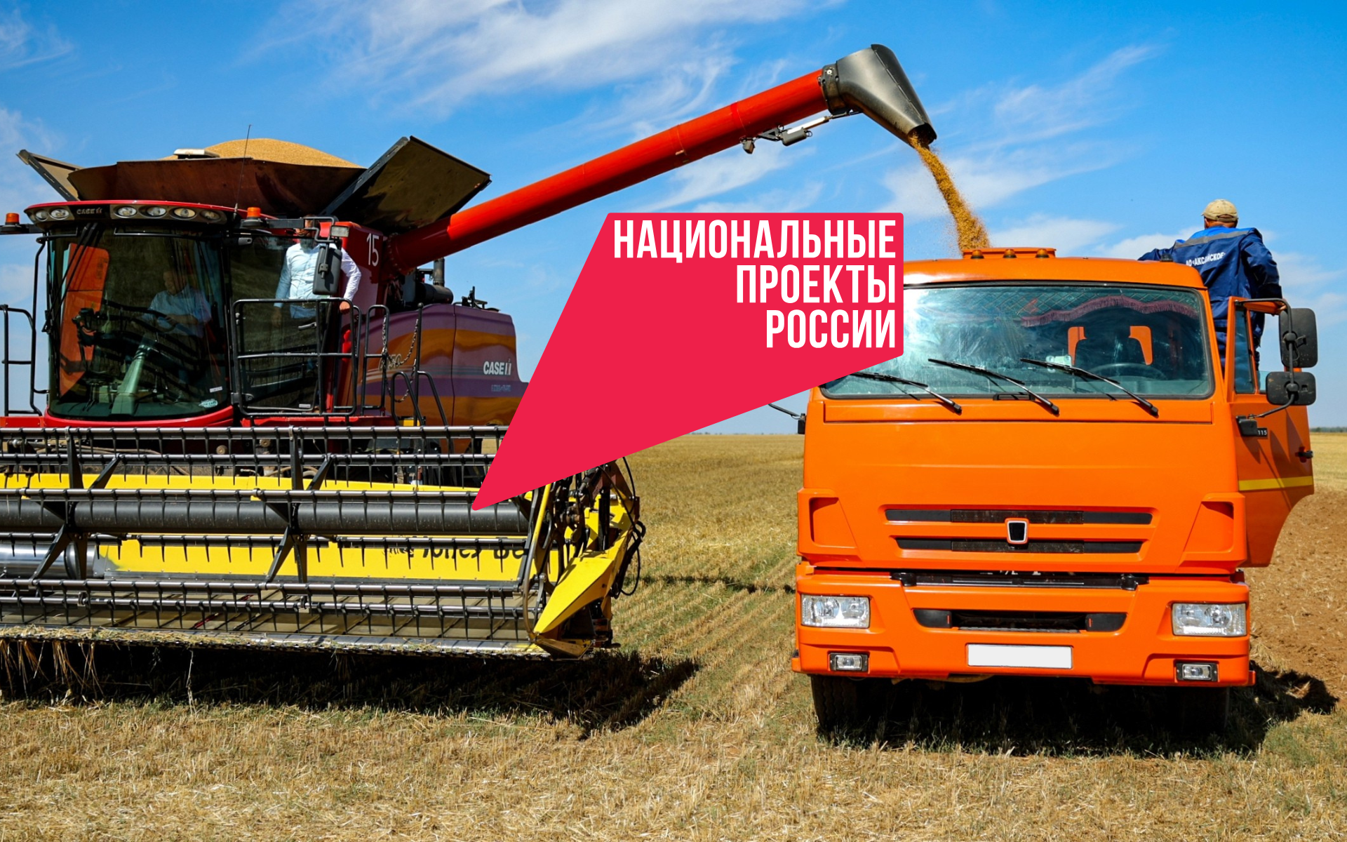 Семена безопасности: аграрный сектор переходит на отечественные сорта