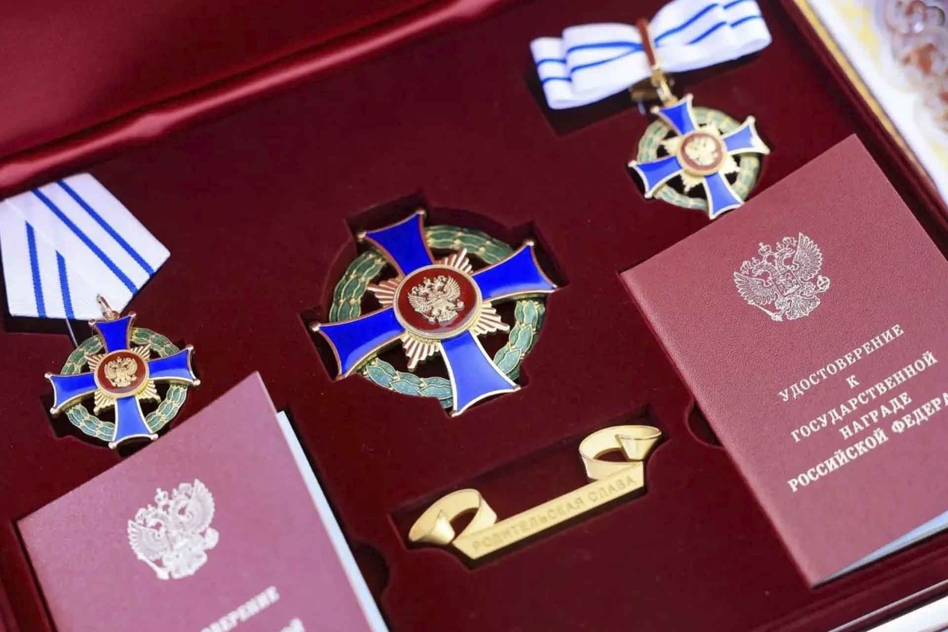 Семья из&nbsp;Петербурга удостоена ордена &laquo;Родительская слава&raquo;