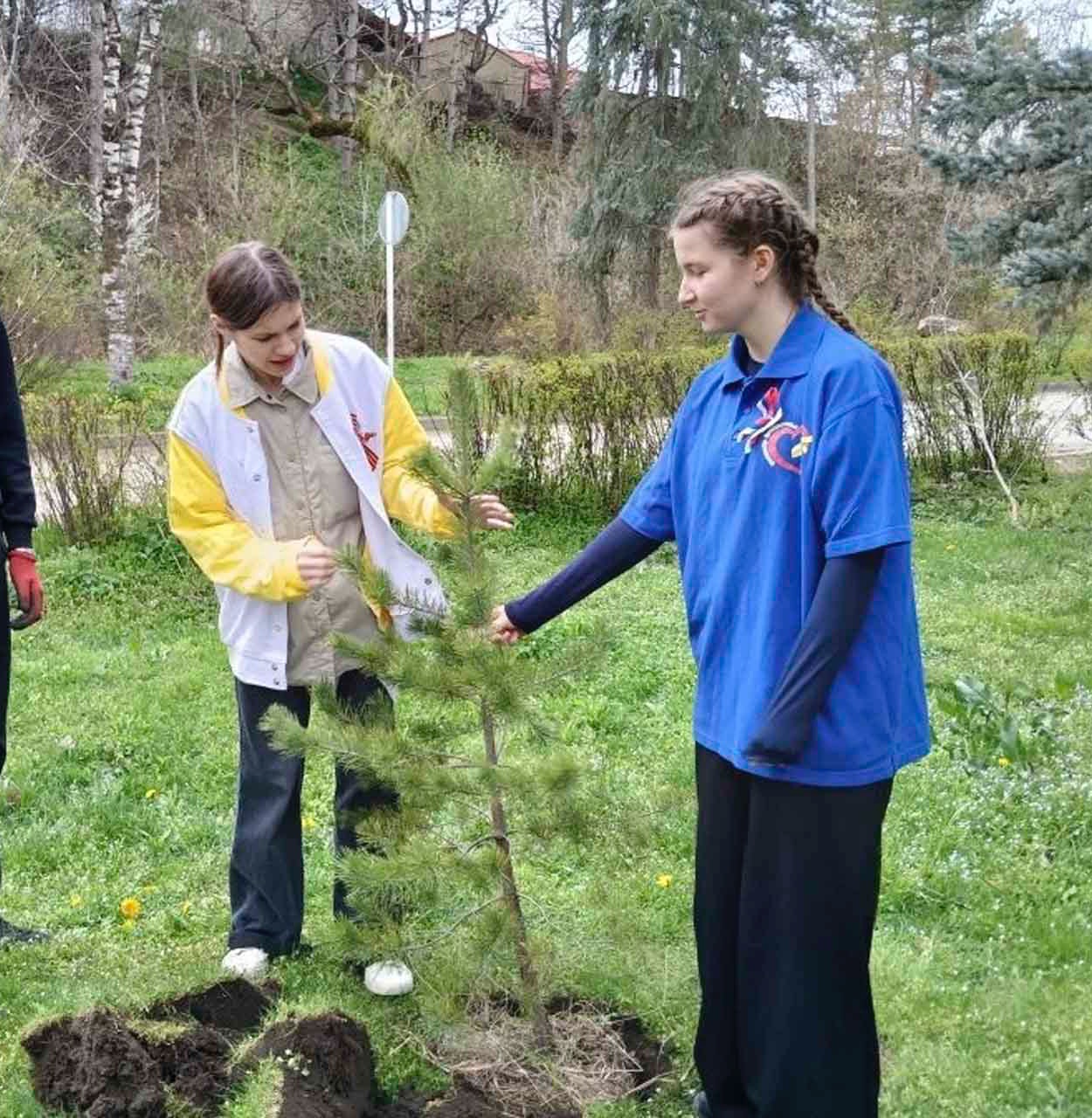 Весеннее лесовосстановление завершилось в&nbsp;Предгорном округе Ставрополья
