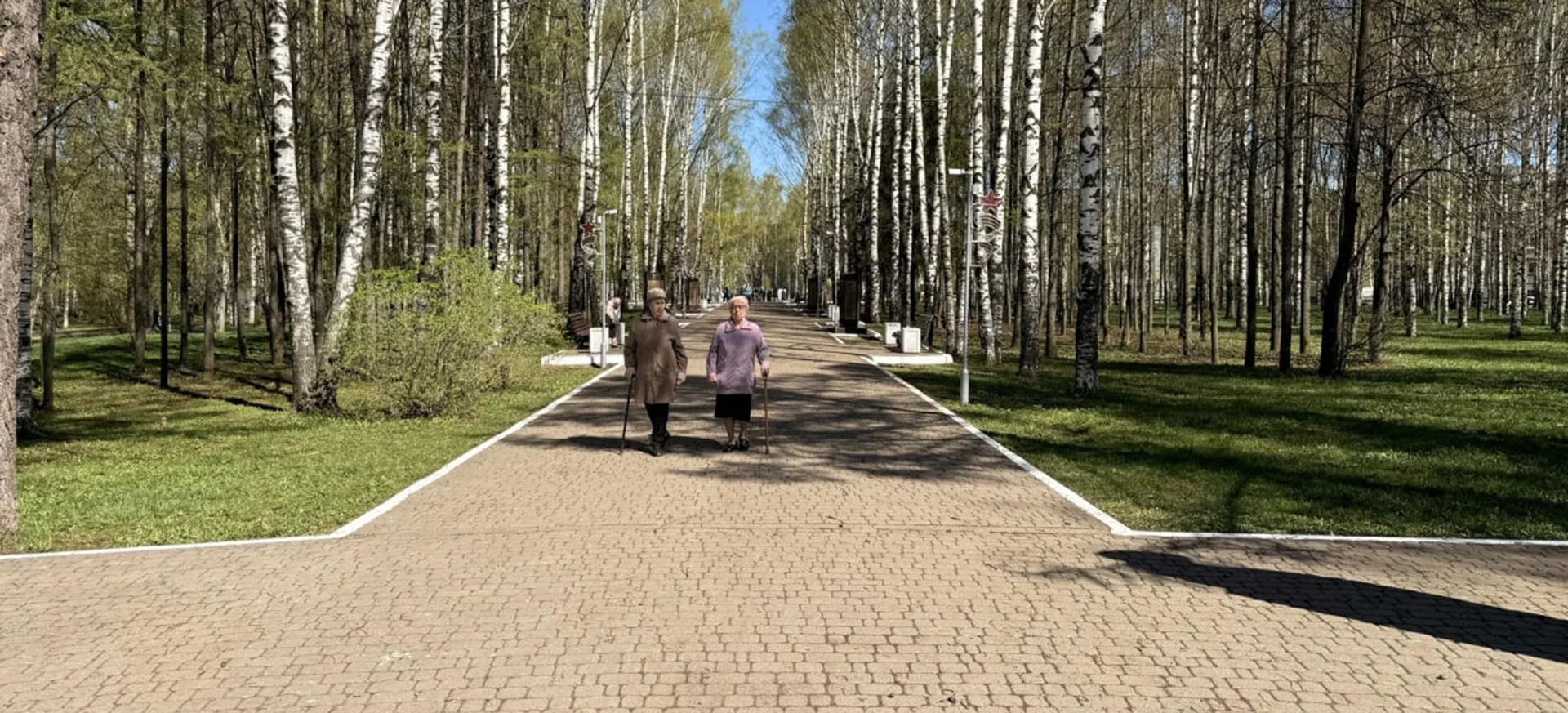 В&nbsp;парке Победы в&nbsp;Кирове создадут сеть пешеходных дорожек