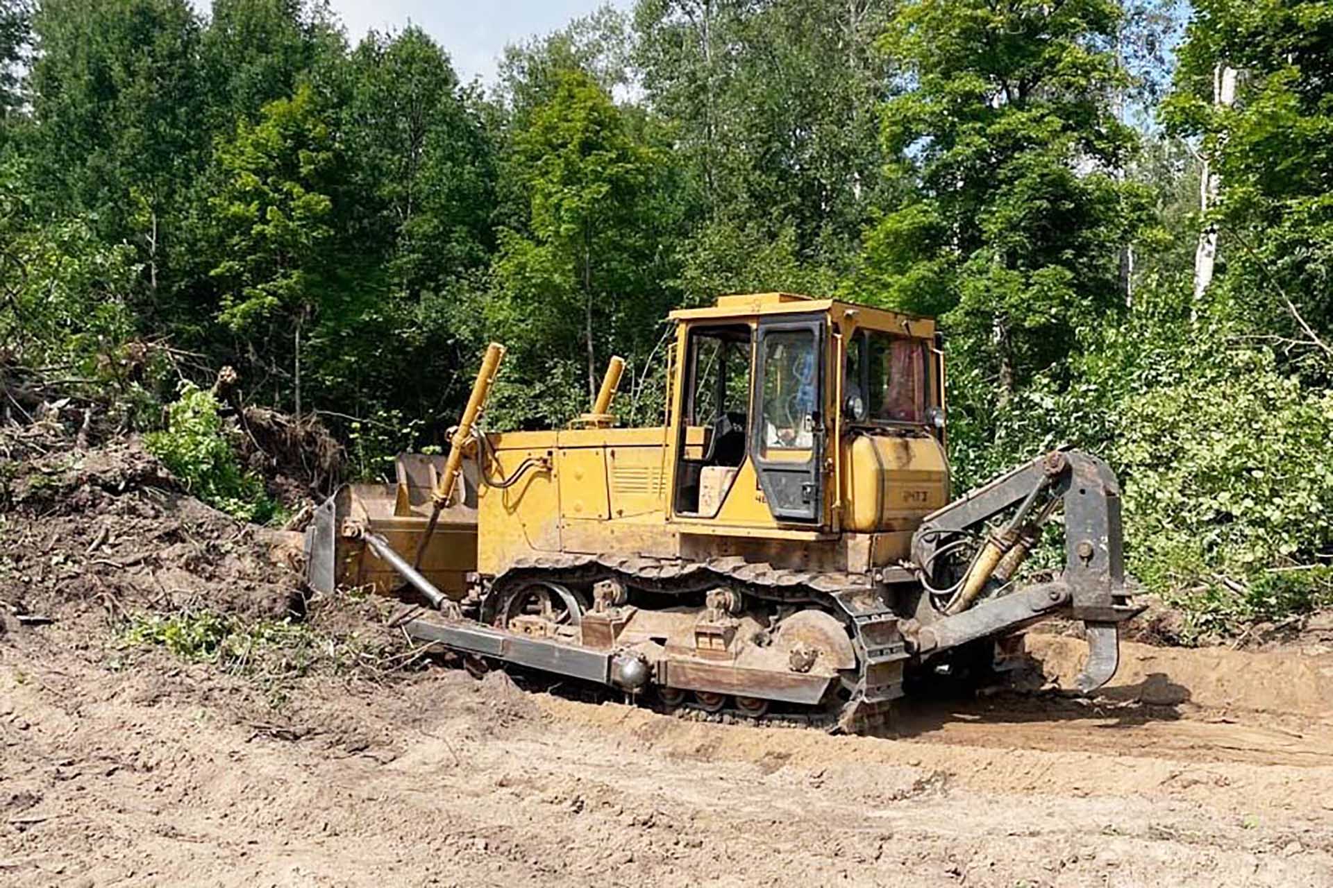 В&nbsp;Тамбовской области в&nbsp;2026&nbsp;году восстановят лес на&nbsp;650&nbsp;гектарах