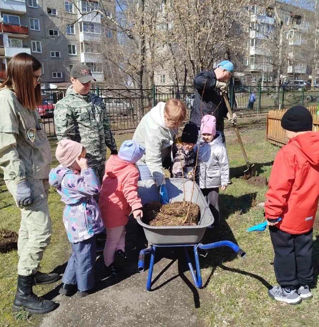 В&nbsp;Красноярском крае высадят около 20&nbsp;тысяч деревьев и&nbsp;кустарников